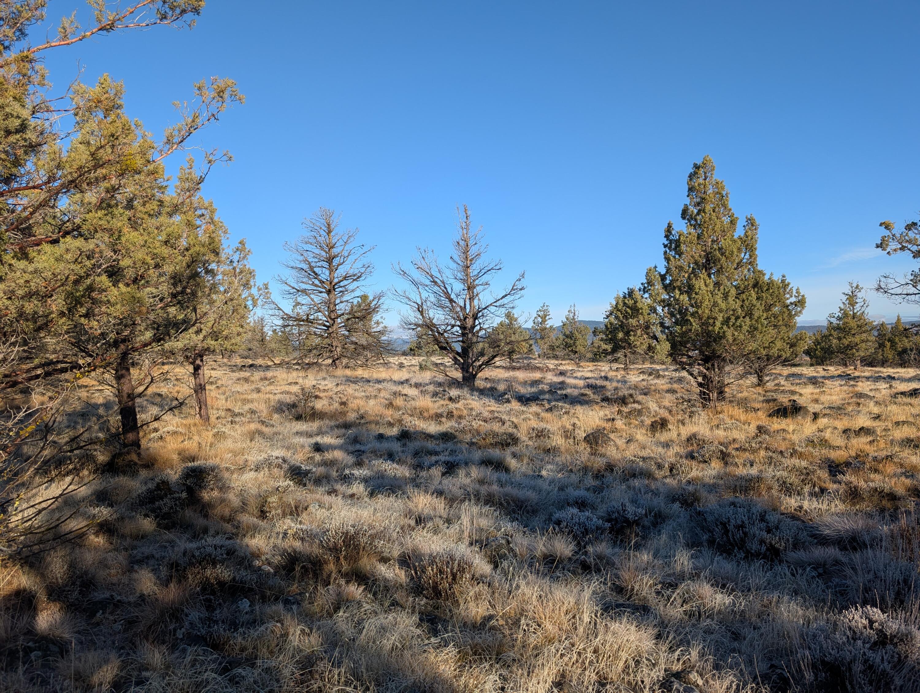 Cedar Trails - Land