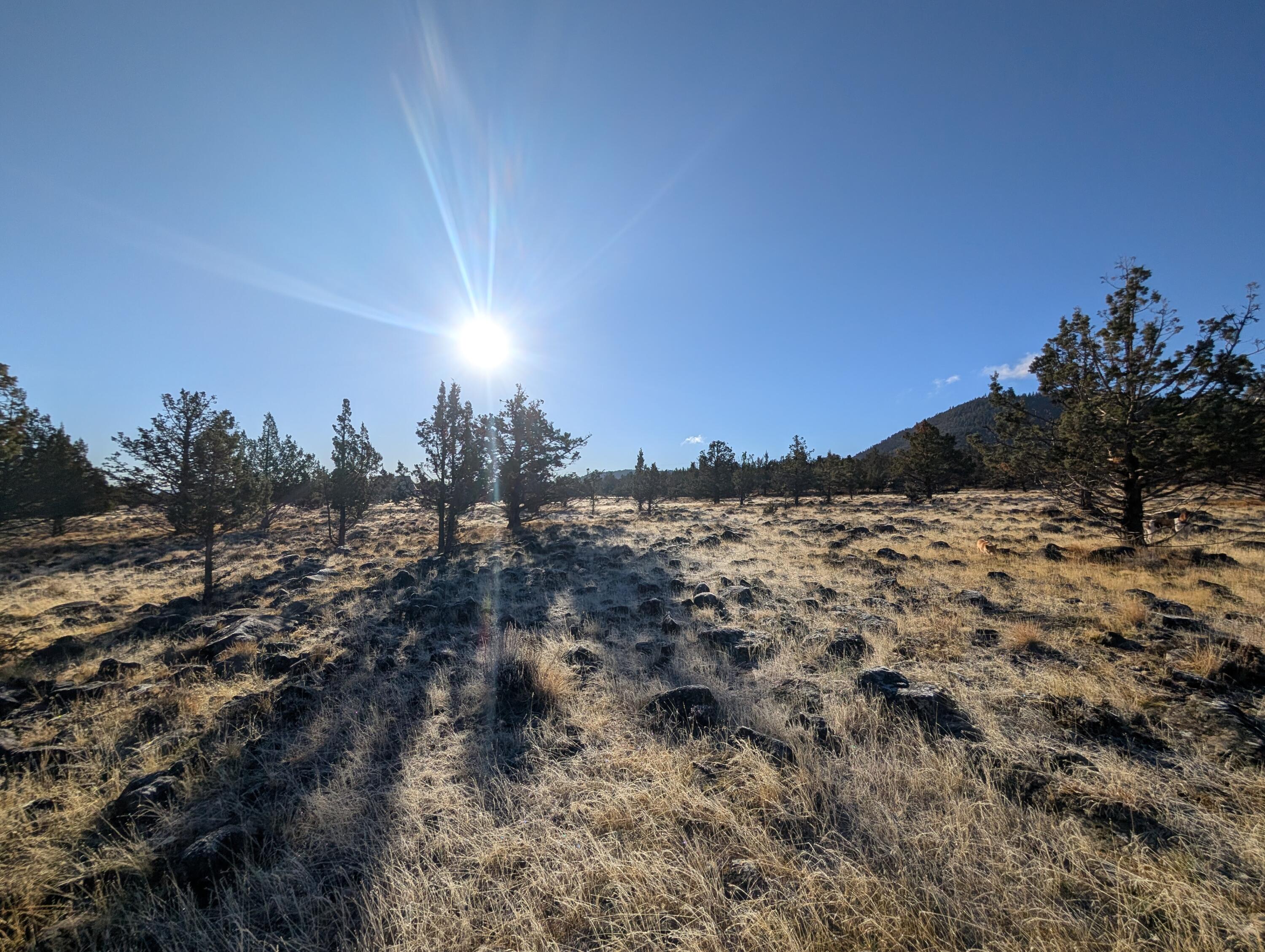 Cedar Trails - Land