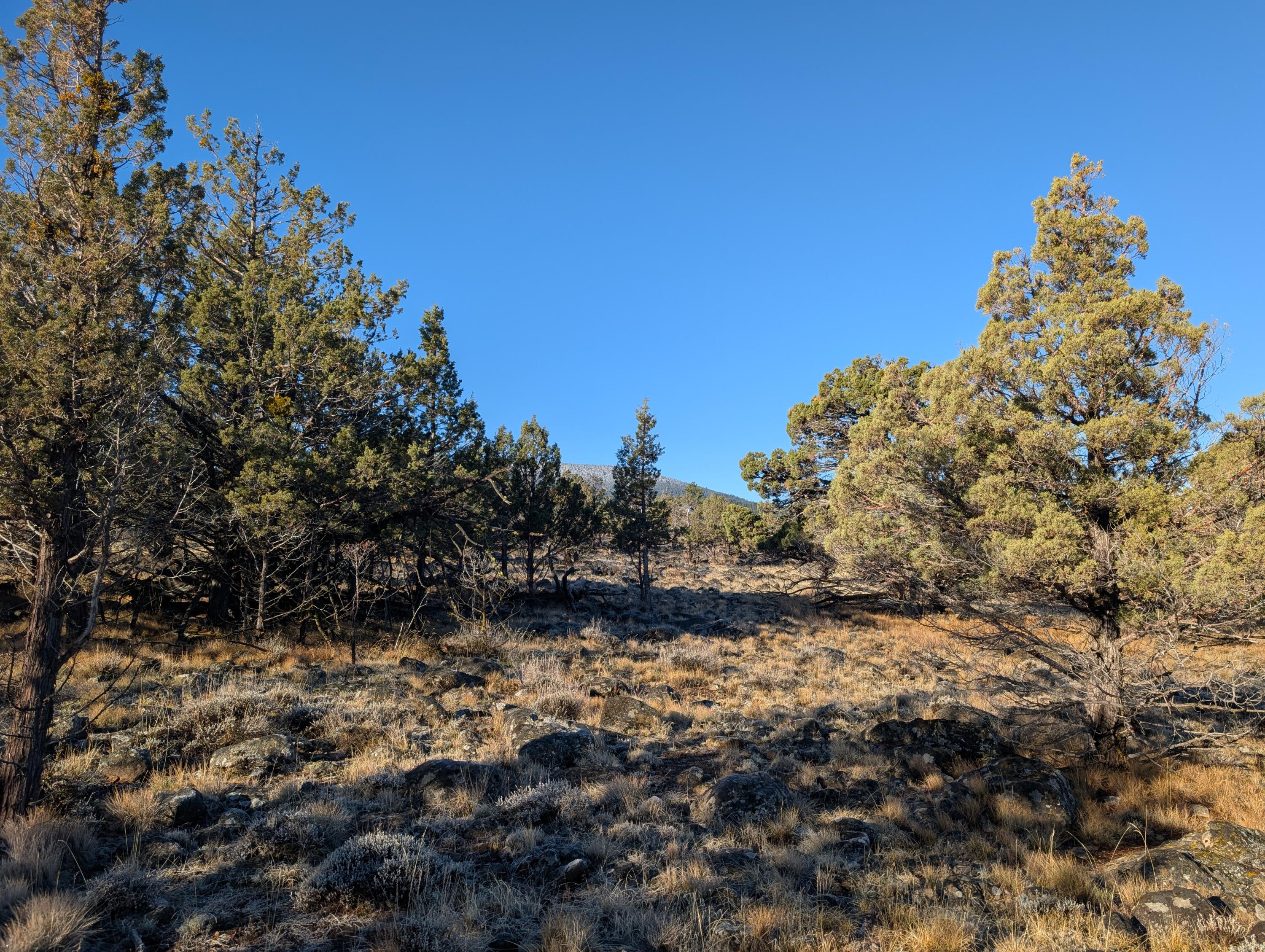 Cedar Trails - Land