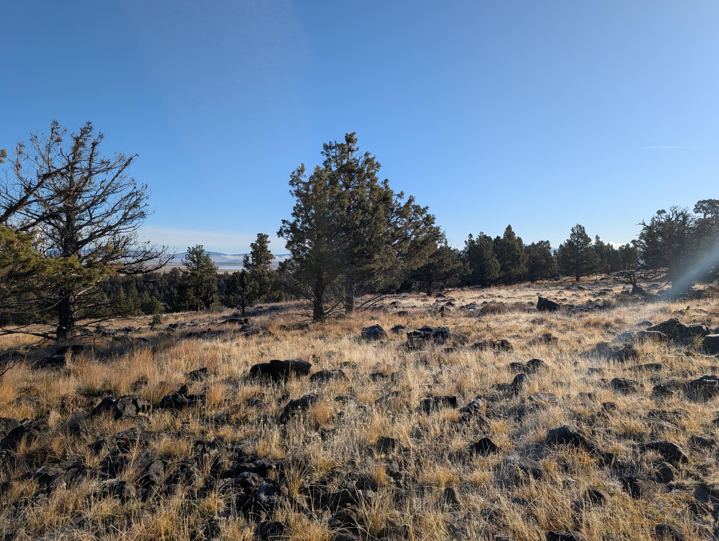 Cedar Trails - Land