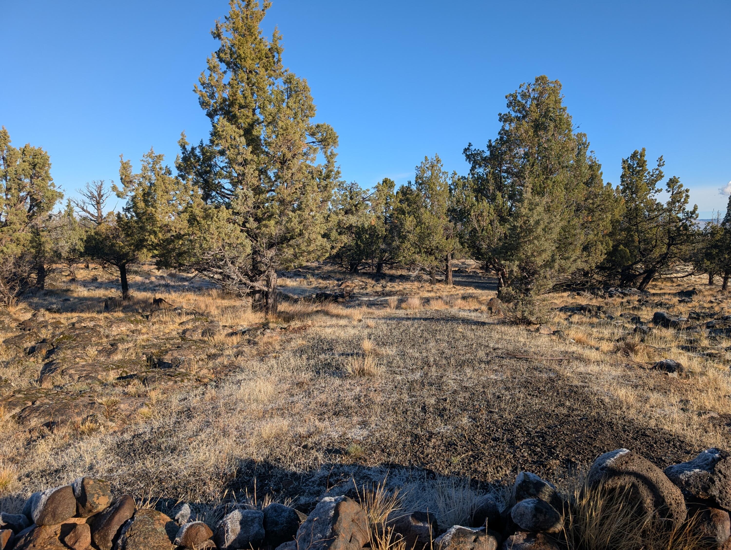 Cedar Trails - Land
