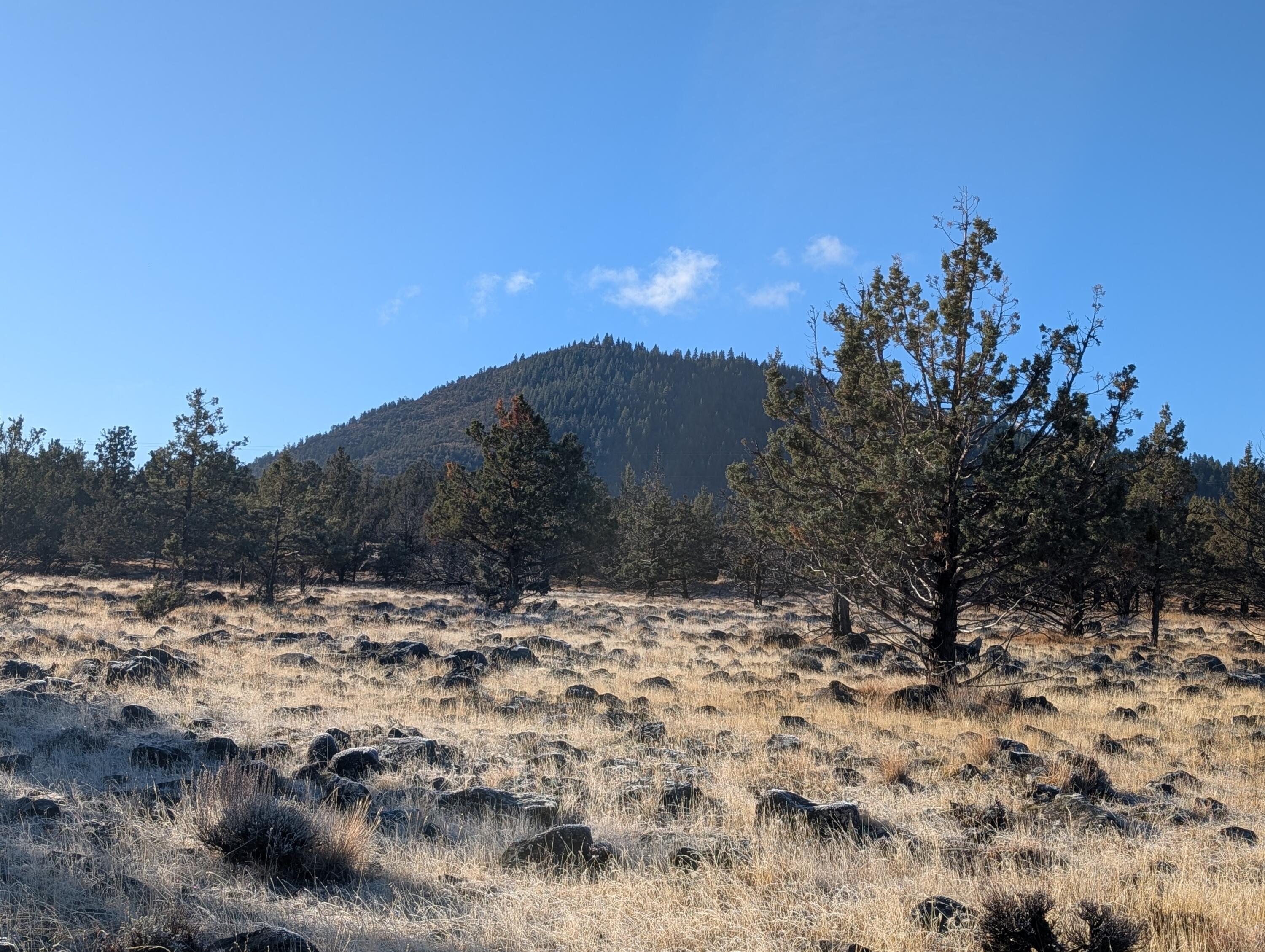 Cedar Trails - Land