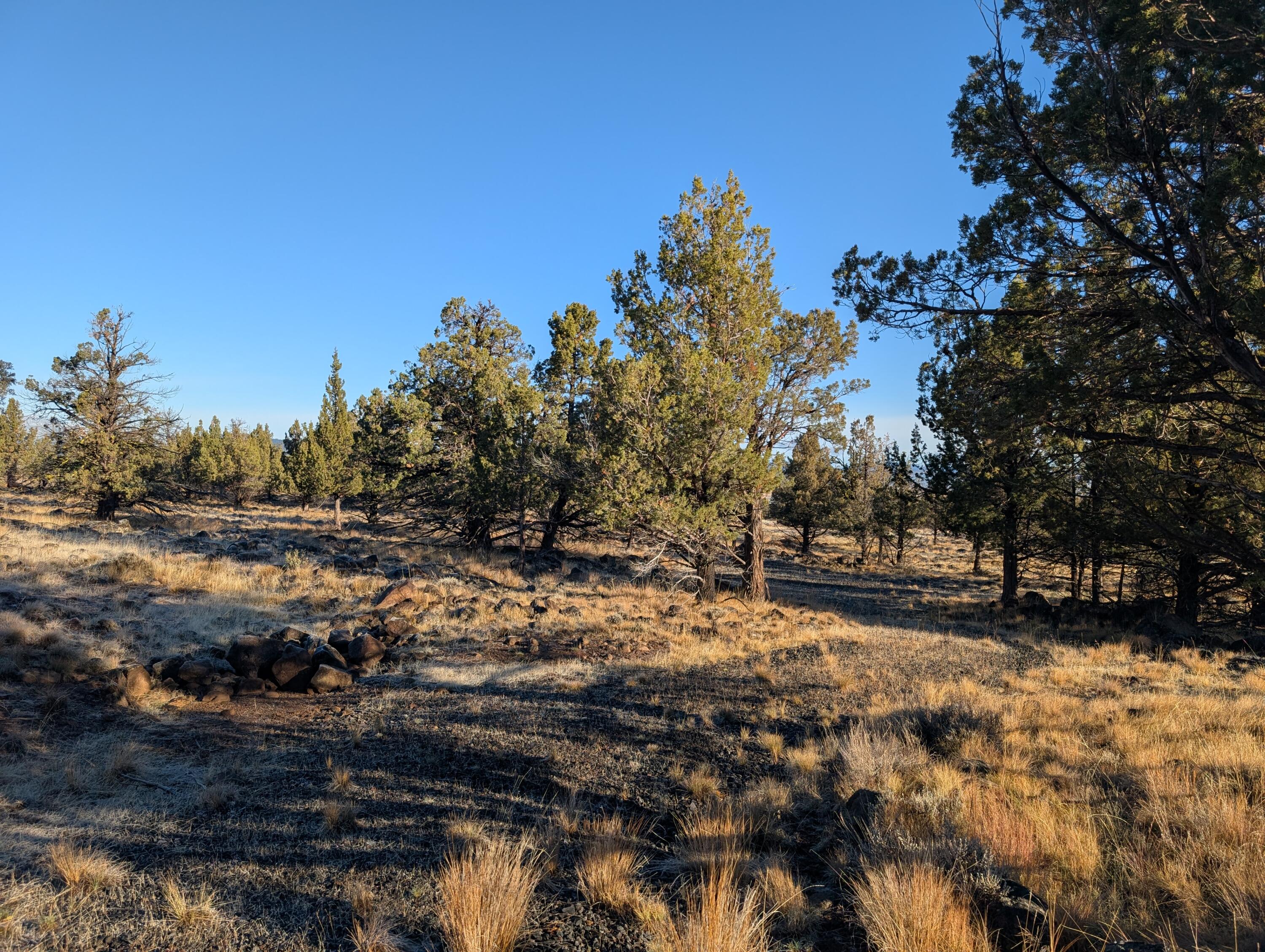 Cedar Trails - Land