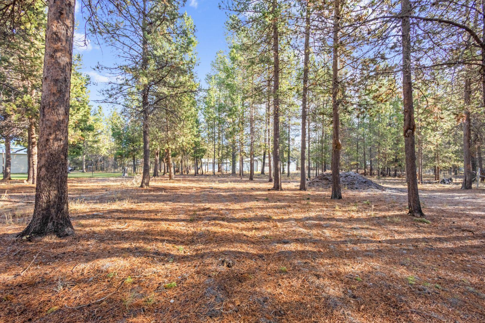 Tall Pines - Residential
