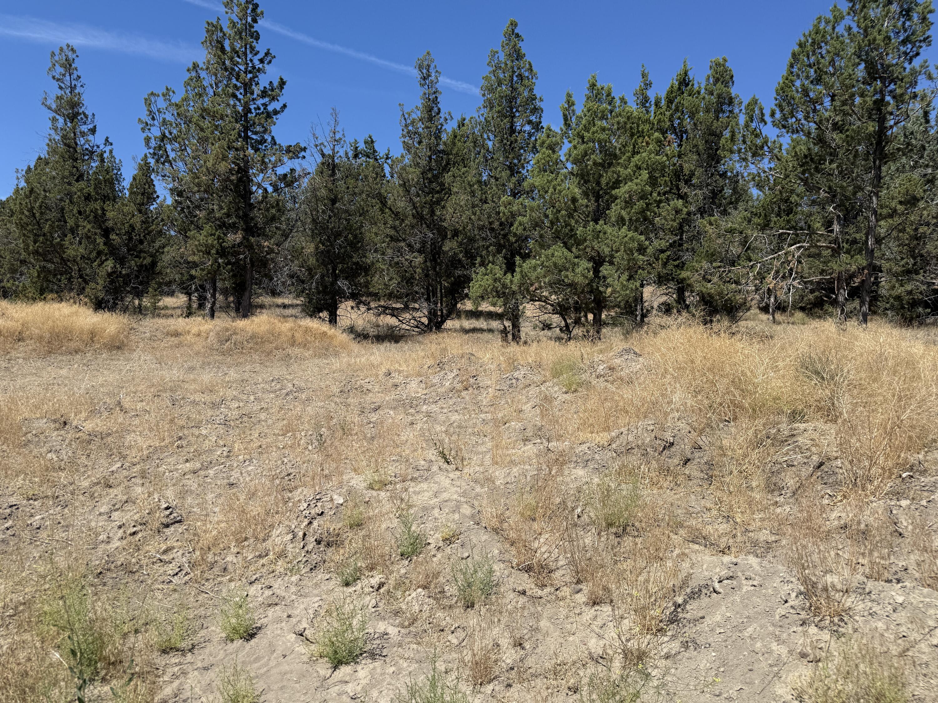 Ridgeview Estates - Land