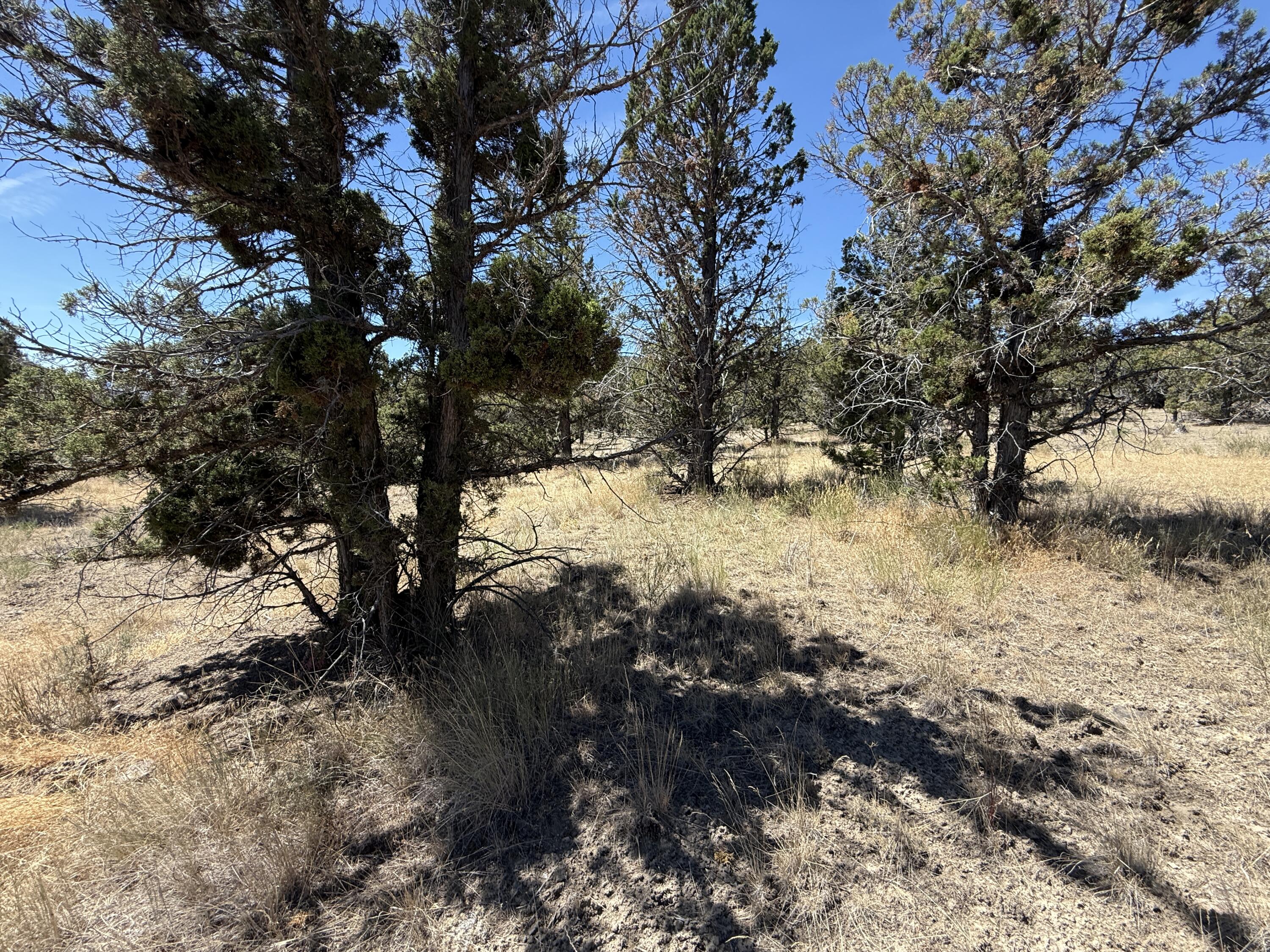 Ridgeview Estates - Land
