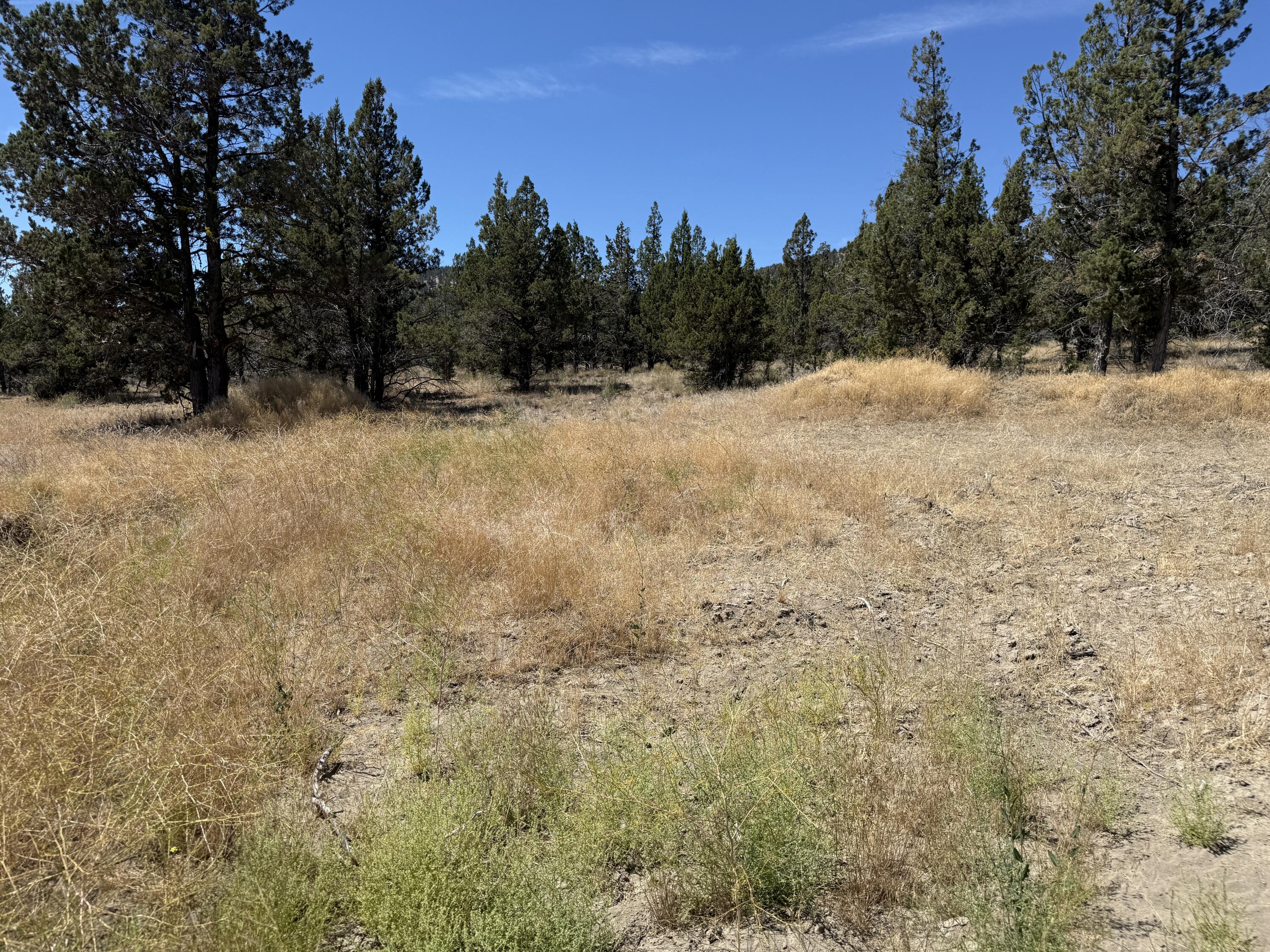 Ridgeview Estates - Land