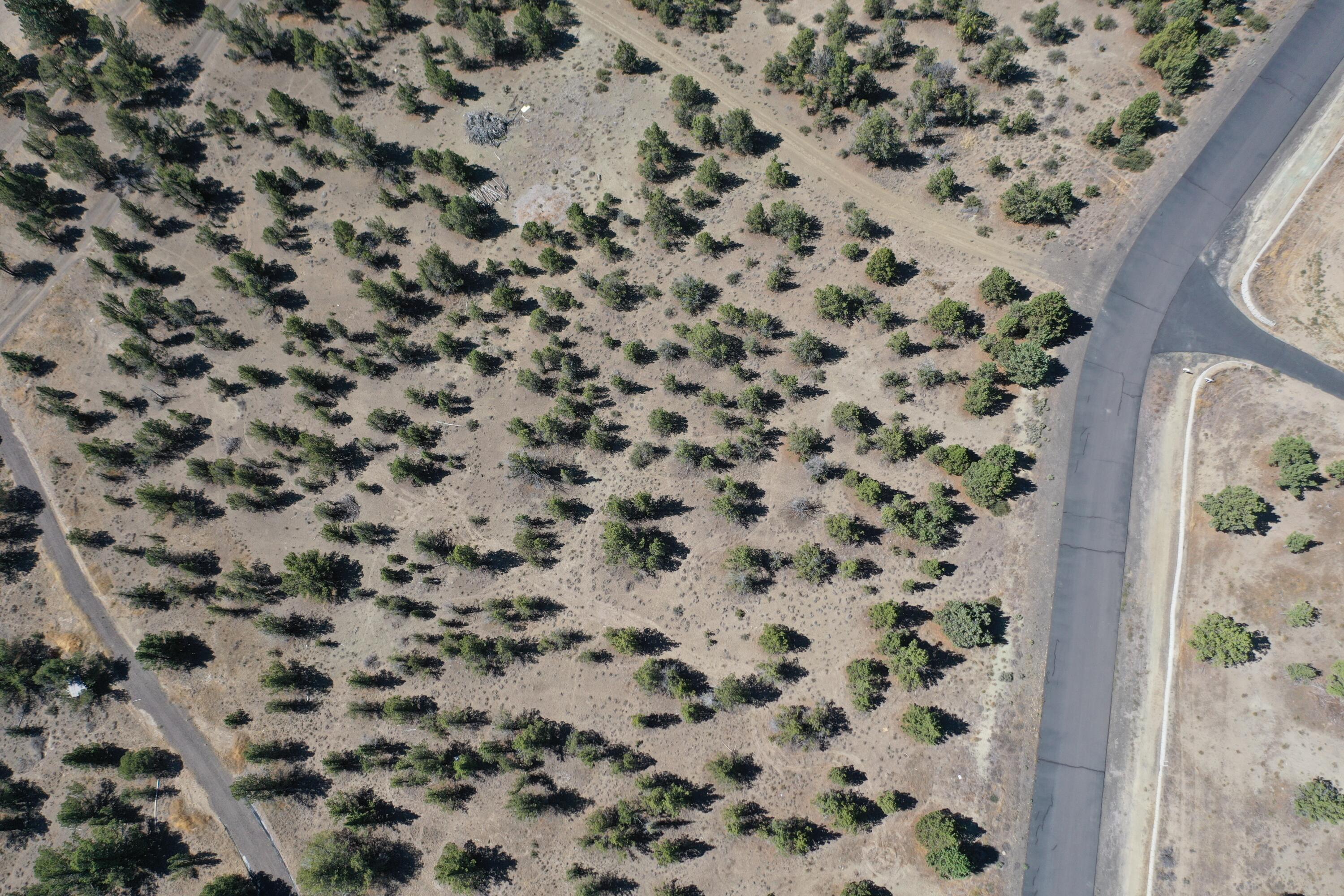 Ridgeview Estates - Land