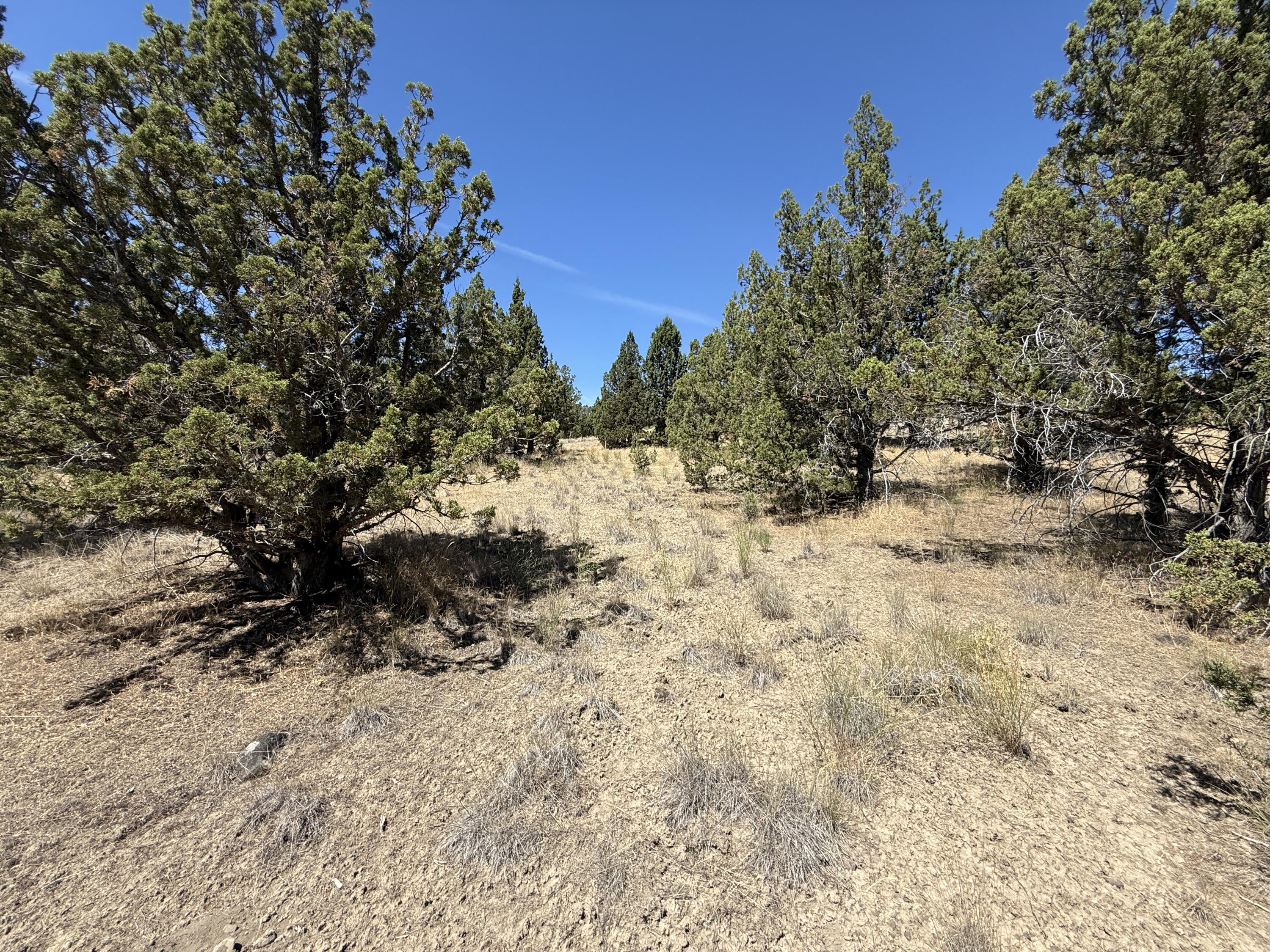 Ridgeview Estates - Land