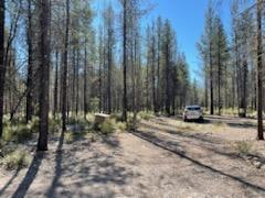 Mt. Scott Meadow - Land