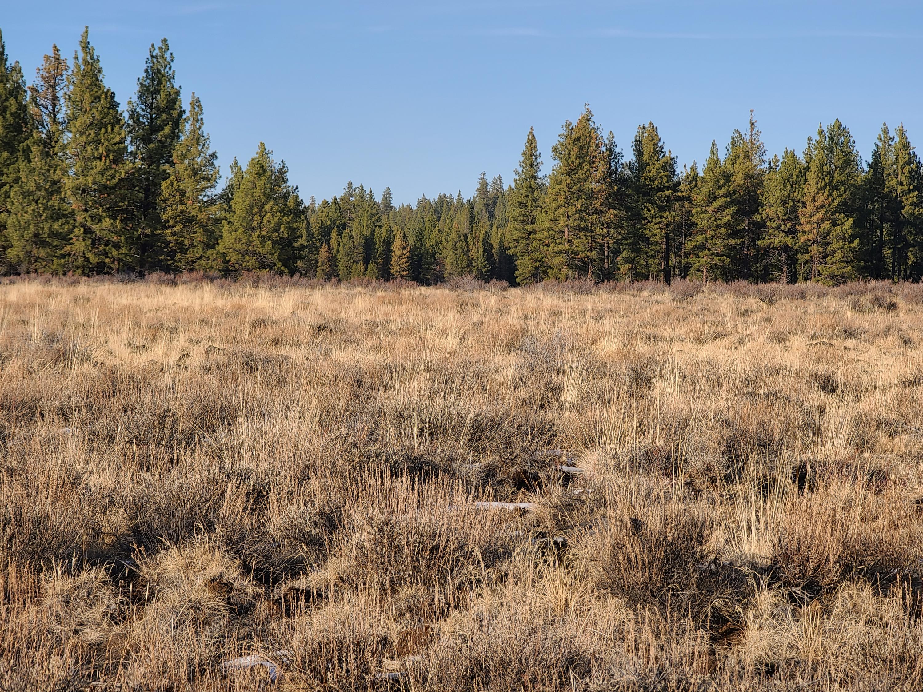 11.23 Acres, remote property with wide open spaces and trees in the back of the property.  Off grid property, four-wheel drive recommended.