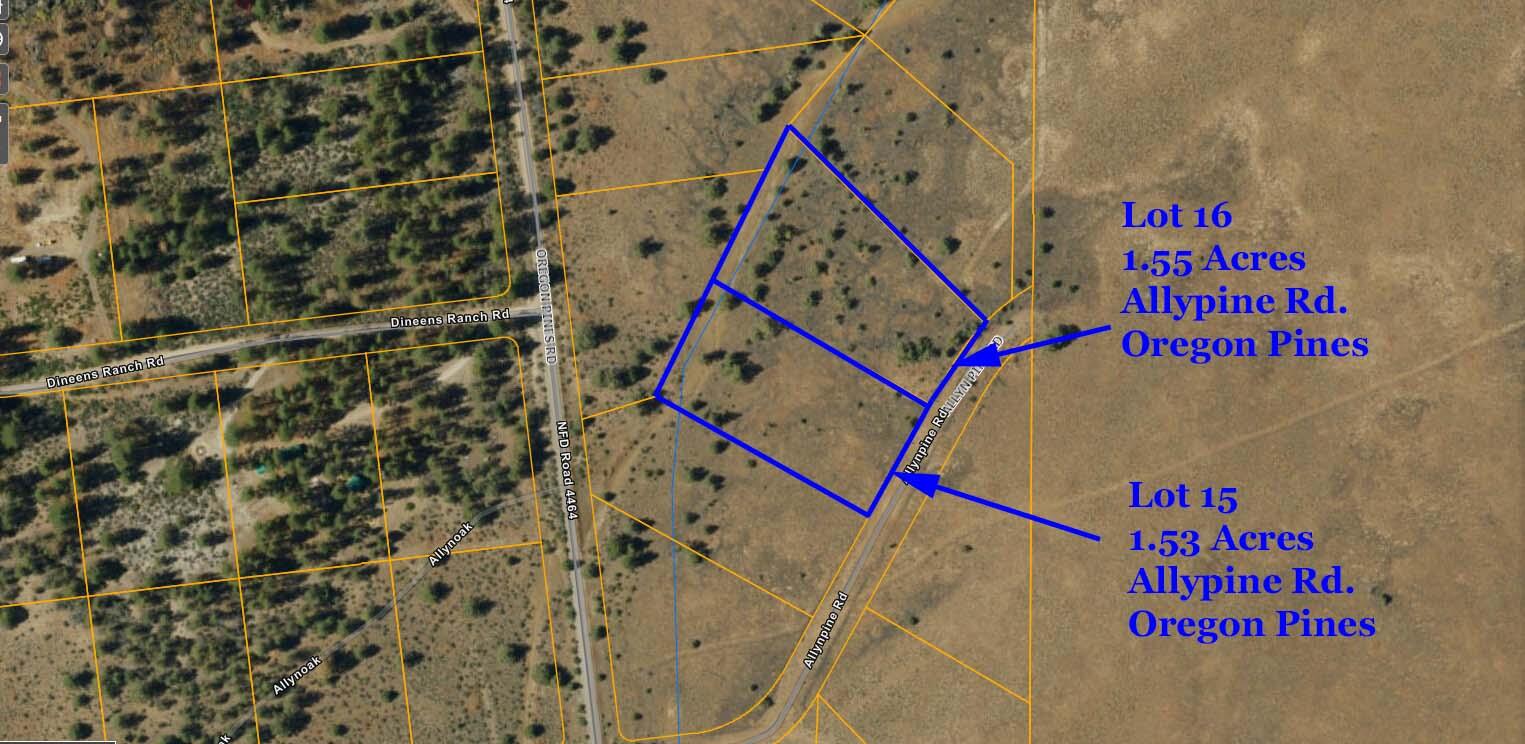 1.53 Acres, beautiful flat parcel with a seasonal wet weather stream along the rear of the property. Dirt Road Access. Zero light pollution for those wonderful star gazing nights. Located in the Oregon Pines Subdivision and Zoned R2 so you can build, place a tiny home, or a manufactured home if you desire. Less than 10 minutes to tens of thousands of acres of government forest lands to play, hunt, fish, or whatever you wish to do. These parcels are situated perfectly for a homestead if desired. Farm animals are welcomed and allowed. Solar here is great. Approx 250+ days of sunshine per year. There are two parcels available, sold separately.
No owner Carry. GPS in MLS in the photos section.
Priced to sell quickly.