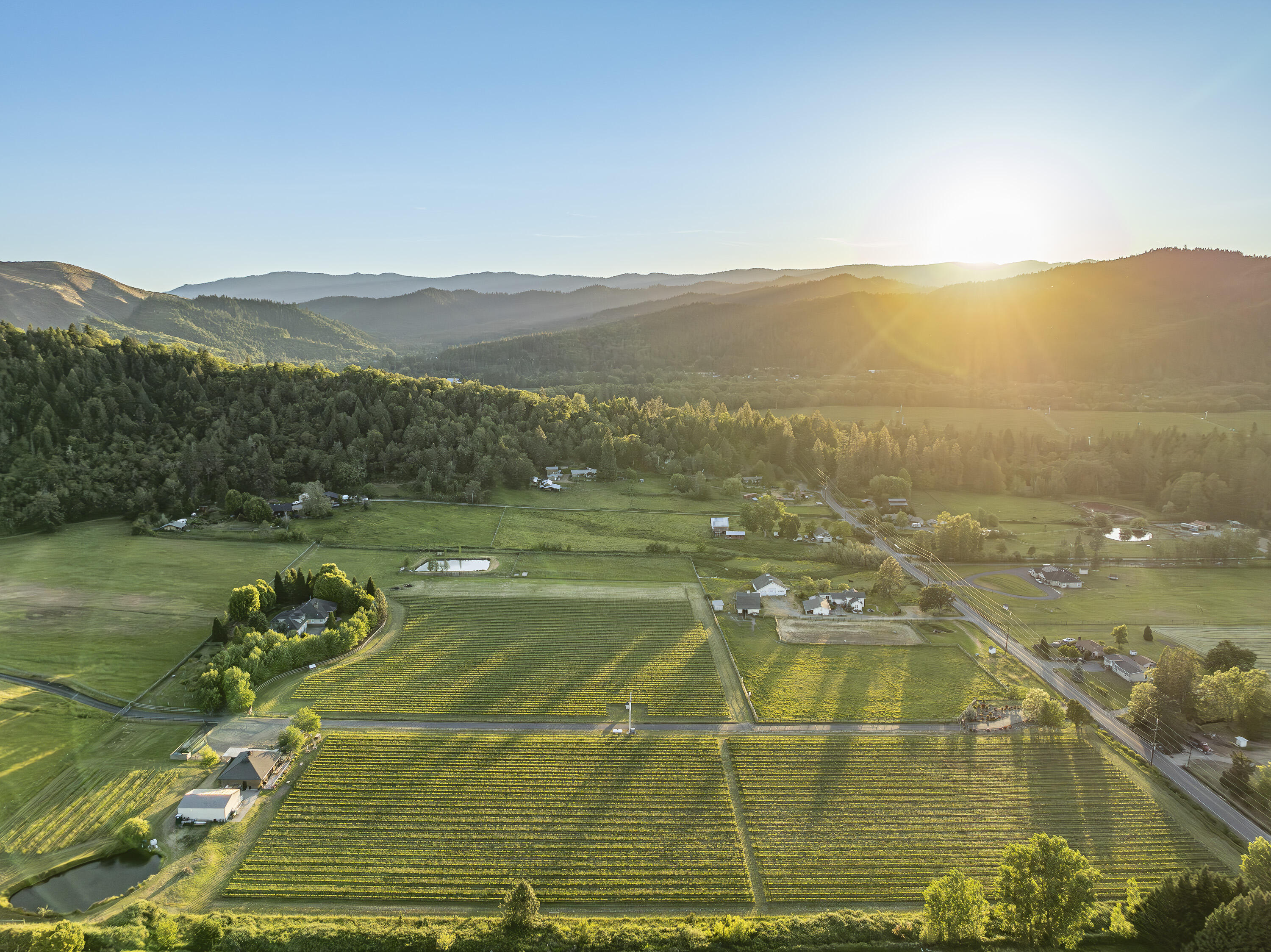 N/A - Farm