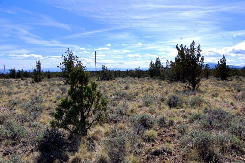 Ochoco Land + Livest - Land