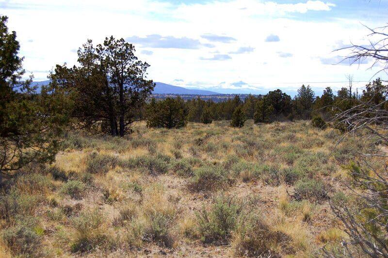 Ochoco Land + Livest - Land