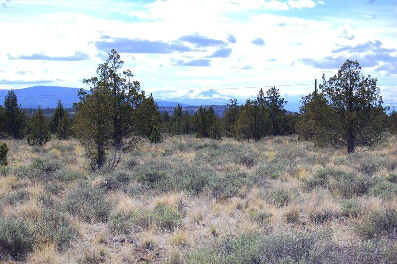 Ochoco Land + Livest - Land