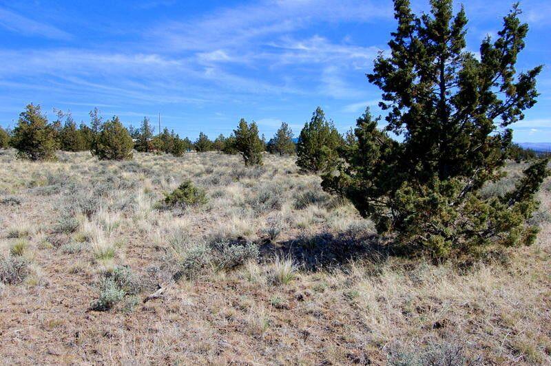 Peaceful Country Living with Mountain Views! Discover 4.98 acres of high desert paradise. This beautifully treed corner lot, offers a perfect blend of privacy and easy access. Located in Ochoco Land & Livestock, just minutes from downtown and near Prineville Reservoir, this parcel provides a tranquil rural atmosphere surrounded by native junipers and sagebrush. Power is conveniently located at the road, and septic system has been approved, making your building process that much easier. Ample open space makes this ideal for constructing your new home, barn, shop, and room for your animals to roam. Property corners are clearly pinned, giving you confidence in the layout and boundaries. Bonus Opportunity: Sellers also have two additional parcels available on Thomas & Iowa.