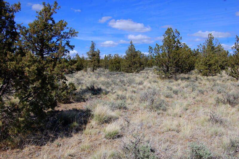 Ochoco Land + Livest - Land