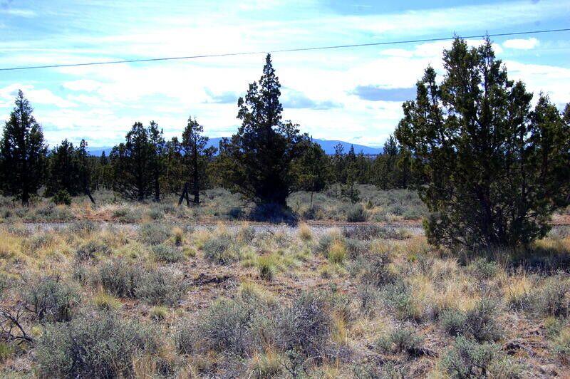 Ochoco Land + Livest - Land