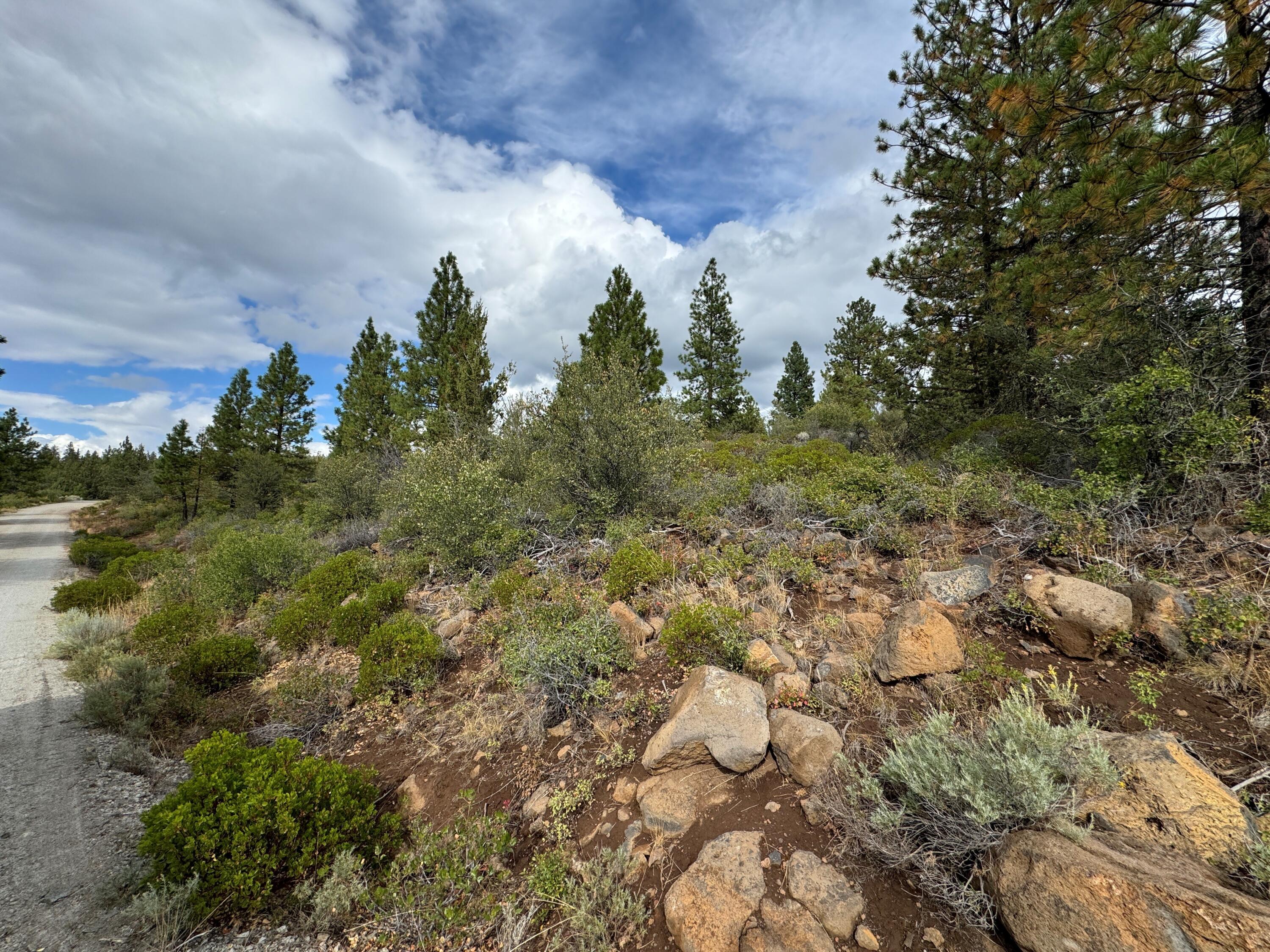 Wonderful, private lot just over 2 acres! This secluded parcel has tons of native plants, mature trees & wildlife frequents the area and parcel. Ready for you to build your dream home, cabin, manufactured home, tiny home; the possibilities are endless! Great for off-grid living and located just about 45 minutes from Klamath Falls, this is a beautiful, secluded location to enjoy!