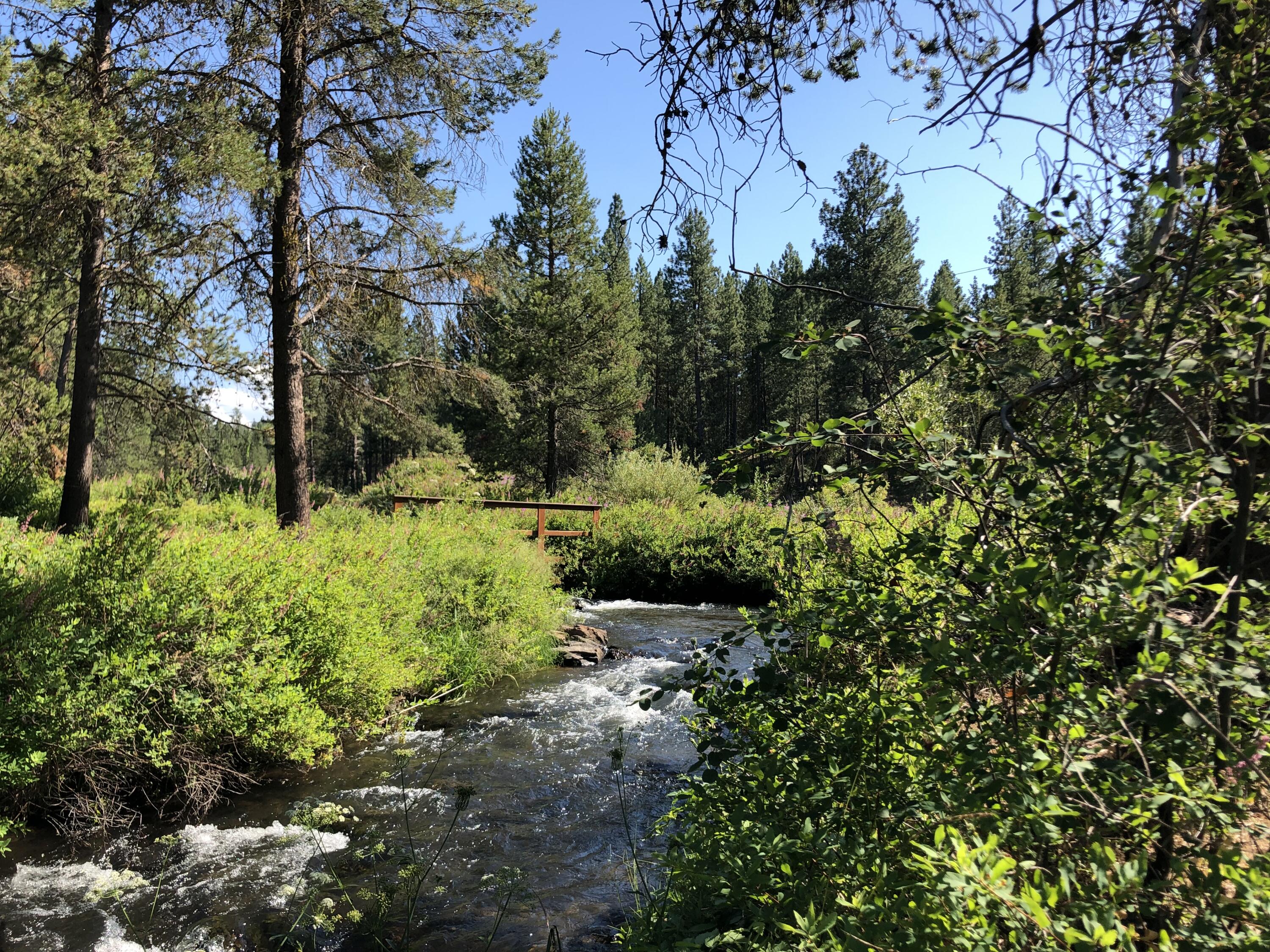 Wild River - Land