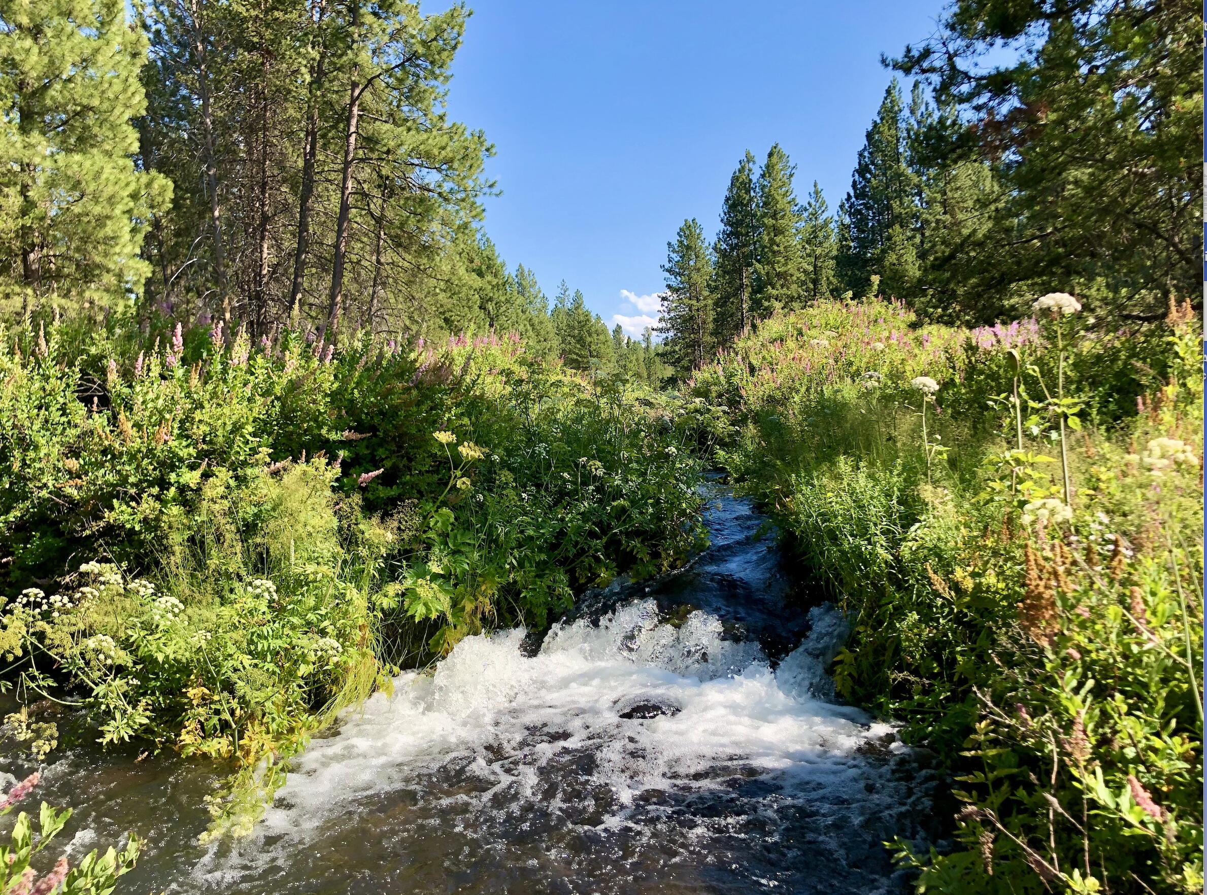 Wild River - Land