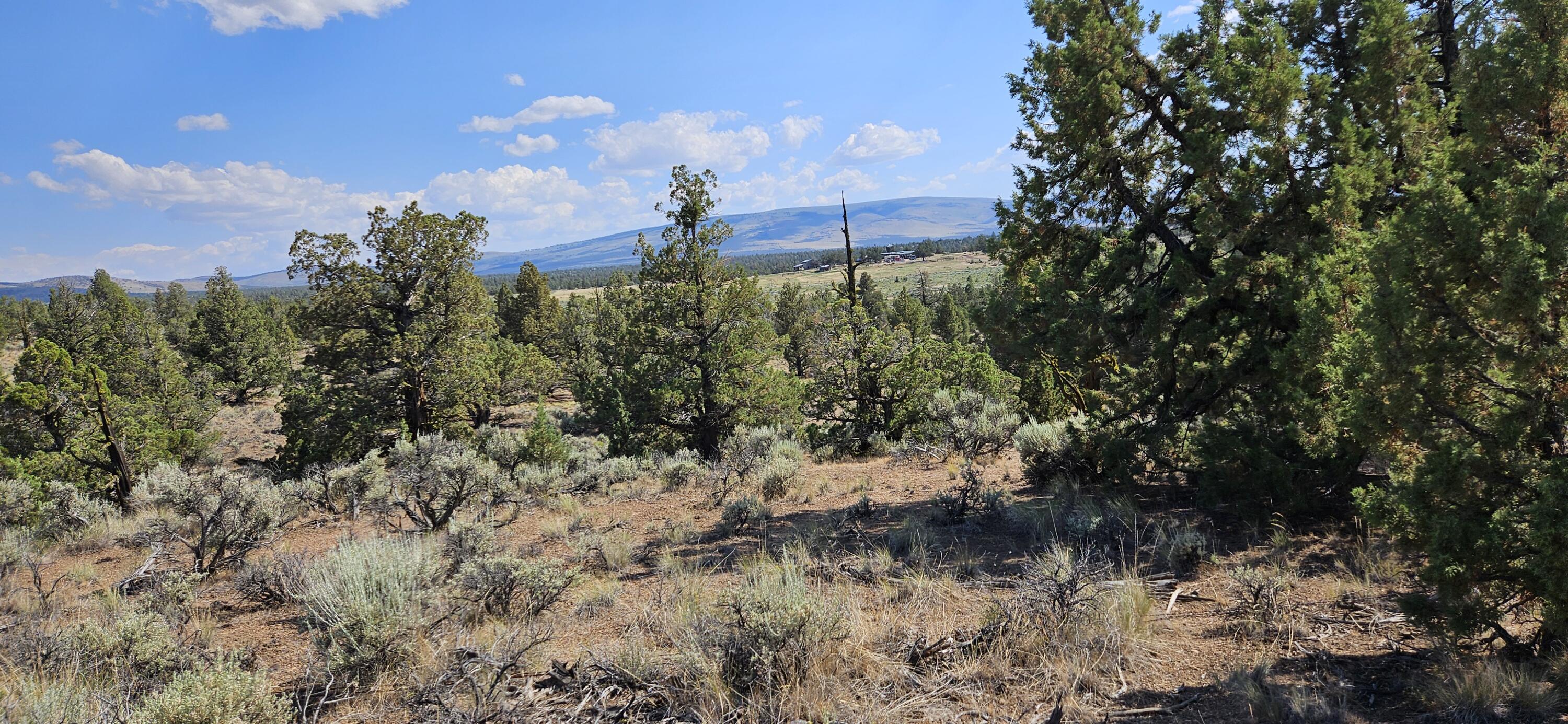 Juniper Acres - Land
