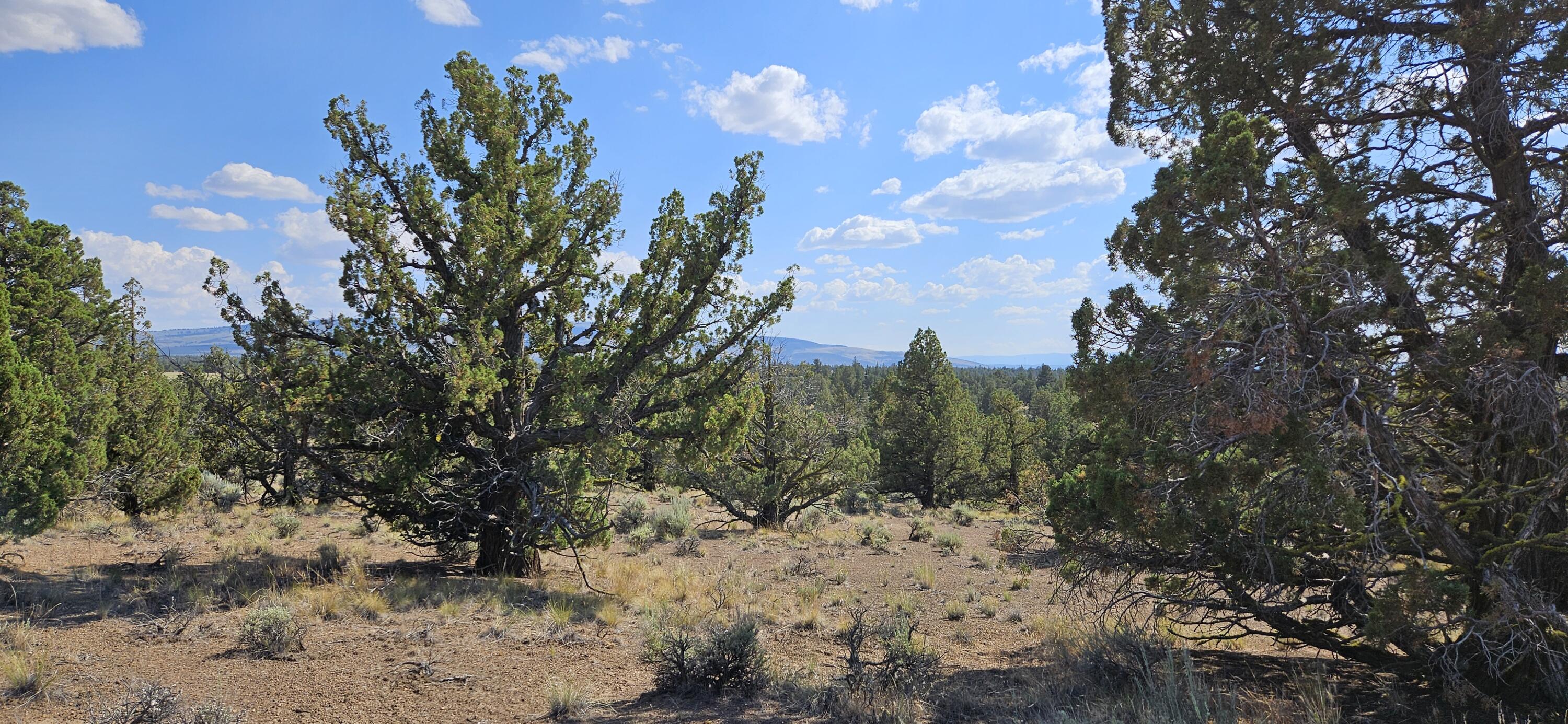 10 acres - recreational land in Central Oregon. Escape to wide open skies and natural beauty on this 10 acre parcel in the heart of Central Oregon. Perfect for camping, RV's, or a future off grid cabin. Enjoy privacy, peace, and endless outdoor adventure. No HOA's; great for weekend getaways. Close to lakes, trails, public lands, mountain views and star filled nights. Here is your chance to own your own piece of Oregon paradise!
