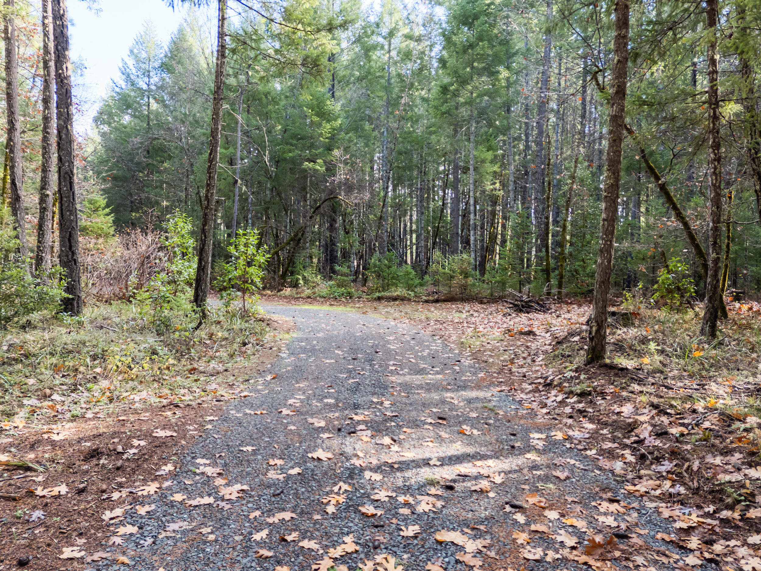 This beautiful wooded property is ready for your dream home! This outdoor paradise has hiking trails through the woods and nearby East Fork Illnois River, where they say the fishing is good! Bordered on two sides with BLM land will provide you with even more privacy. Underground utilities are in place, the septic is approved, and a new pump house serves a 48 gpm well. The building site is partially cleared with a permitted gravel drive already in. Enjoy the beauty of nature and the peace of a secluded setting, with a lot of the hard work already done—just bring your plans and start building!