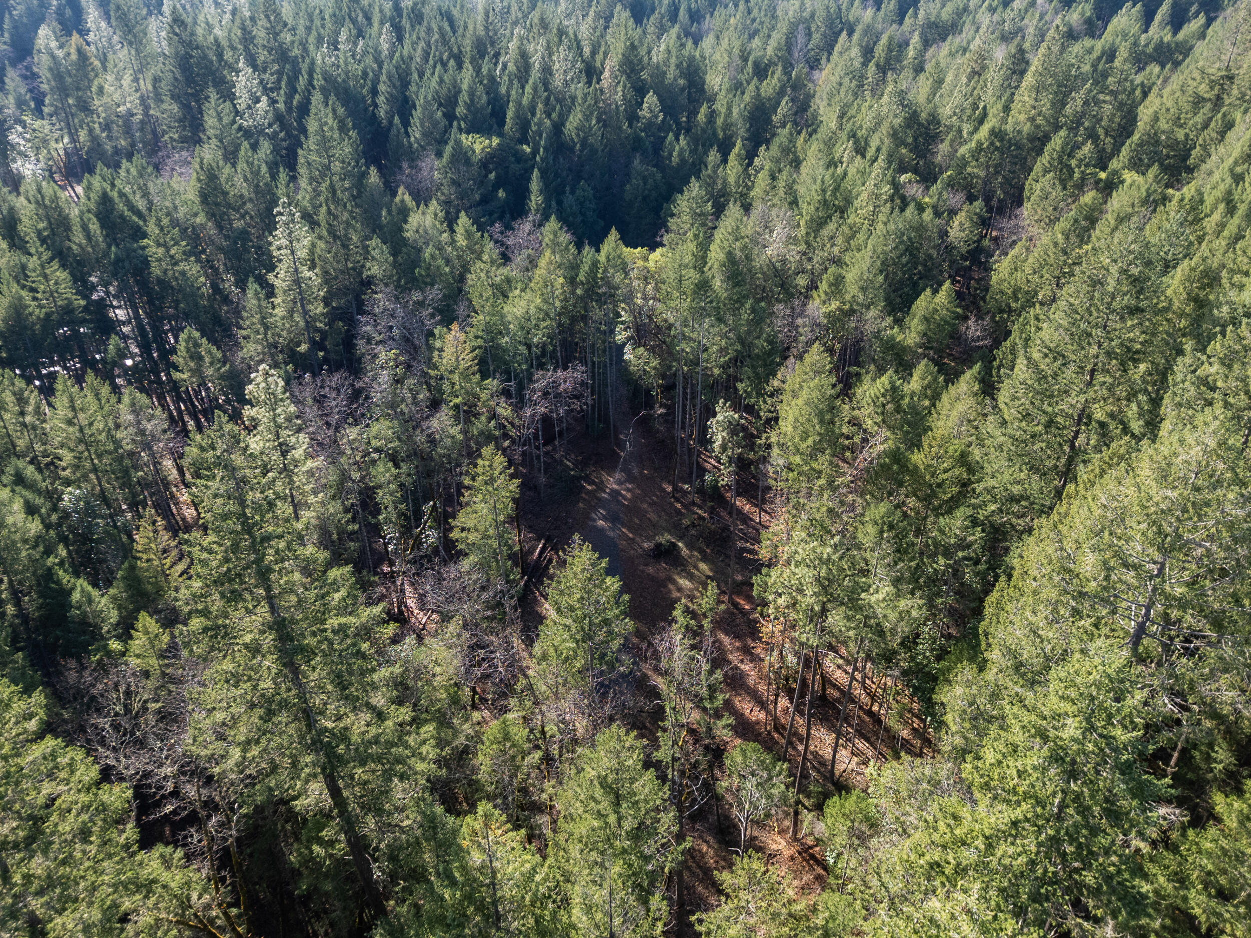 Illinois River Estates - Land