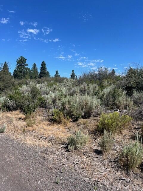 Oregon Shores - Land