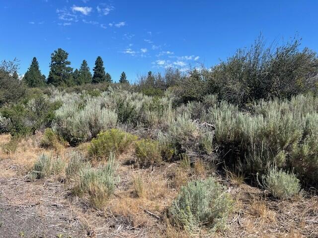 Build Your Dream Escape Near Agency Lake!
Don't miss this rare opportunity to own .36 acres of bare land in the scenic Oregon Shores communityâ€''just moments from Agency Lake and offering stunning views of the Cascade Mountains. This peaceful setting is perfect for outdoor lovers, with world-class trophy trout fishing nearby on the renowned Williamson River.

The adjacent parcel is also available, giving you the option to expand your space and create a larger homesite, retreat, or investment property.

Enjoy the convenience of community amenities including snow removal and road maintenance.  Whether you're planning a vacation home, a future full-time residence, or a smart land investment, this property delivers exceptional value in a spectacular location.