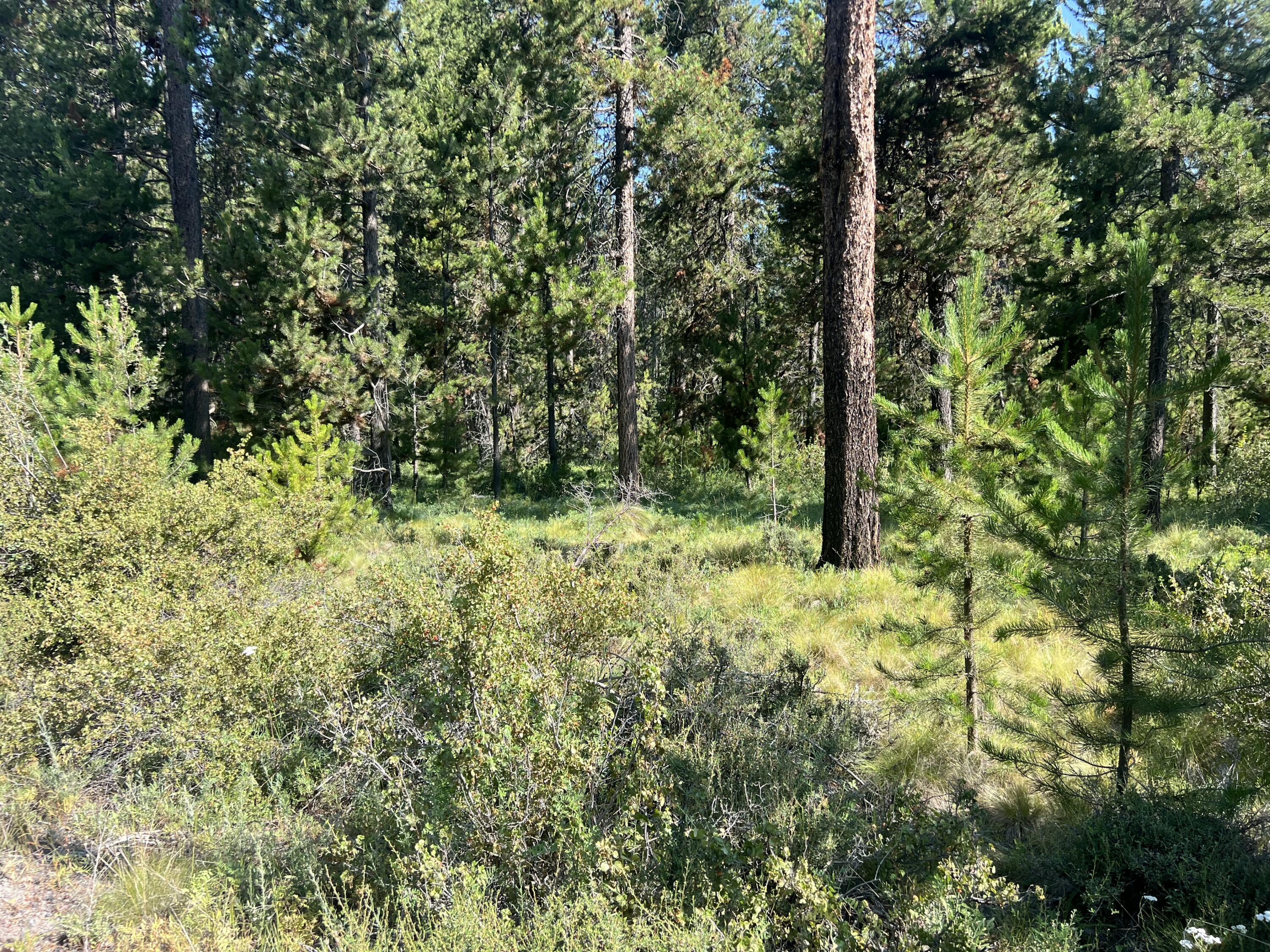 Deschutes River Recreation Homesites - Land