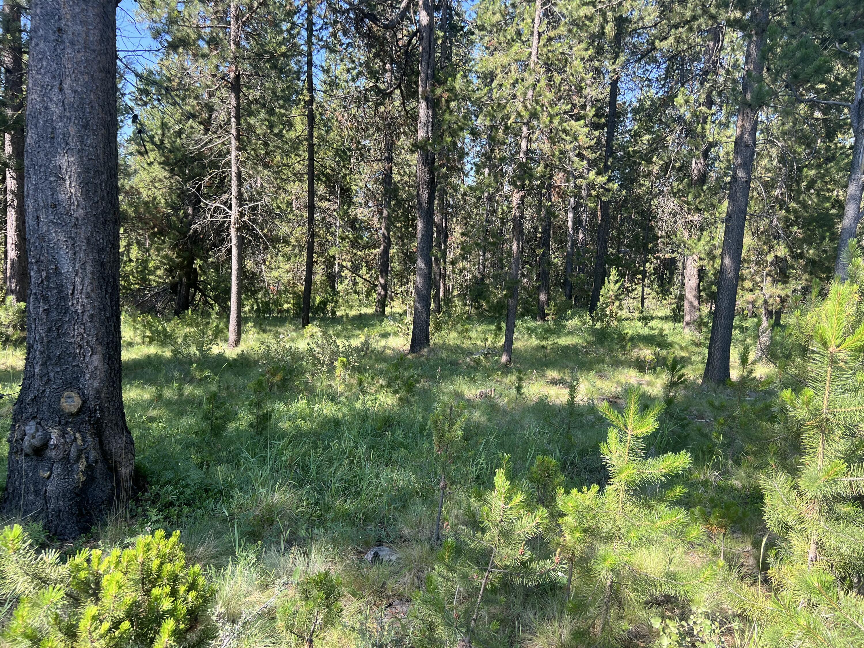 Deschutes River Recreation Homesites - Land
