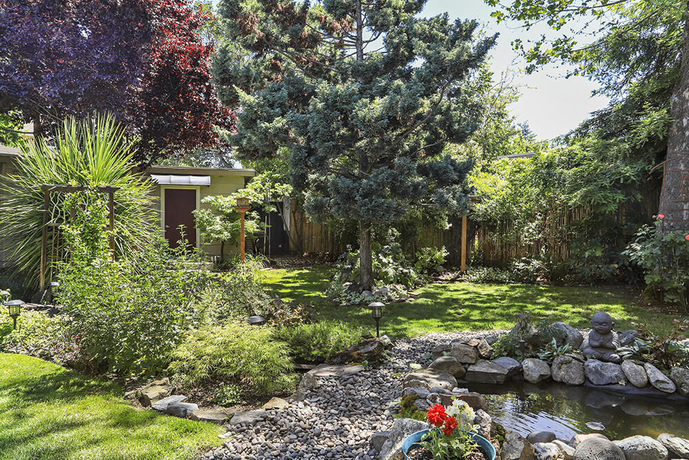 Mid Century Modern Bungalow w/Private Oasis Fenced & Gated Backyard in heart of Oldtown Medford. Quaint neighborhood side street close to Courthouse, Schools, an amazing Taqueria/excellent location. Tastefully Updated: Refinished Wood flrs; Newer: Gas Fireplace insert, Tile & Wood lam flrs, Beautiful Barn Door Sliders, Bathroom Remodel, Utility rm w/Sink & Pantry, Int. & Ext. Paint, Roof, Electrical Panel, 2nd Water Heater, Gas Range, Fridge, S/S D/W; Orig. Vintage Metal Cabinetry w/ Back-lit Glass Panels, Period-style Sink w/ New Pull-Out Touch n Go Faucet & New Garden Window. Gas Furnace/Forced Air. 3 bedrooms plus Den, spacious Master Wing w/ Access to Oasis & private Hot Tub area. 2 Ponds w/ Fountains. Block/Stone Pathways, Outdoor Bar, Pergola & Patio. Gorgeous Gardens: Huge Wisteria, Trumpet Vine, Grapes, Banana trees, Hastes, Columbine & more. Dojo (all-purpose bldg w/ 2 rooms) for Storage/Hobbies. Car-carport & Camper parking & Alley access. Home Warranty. Appt Only.