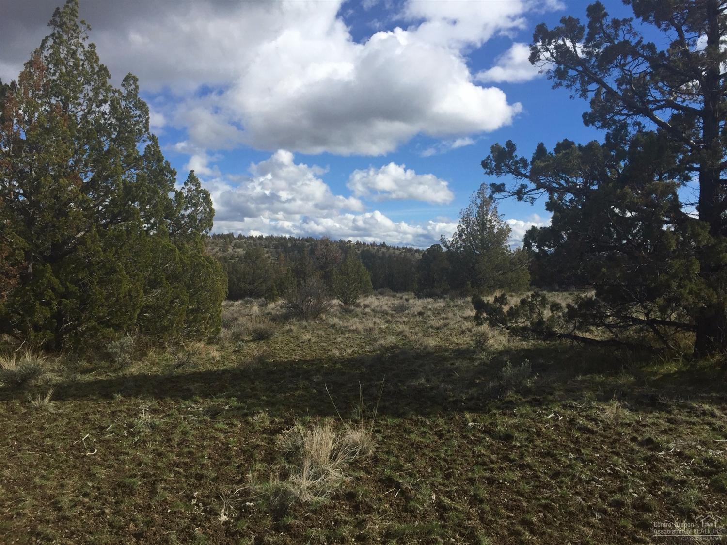 Longhorn Ridge - Land