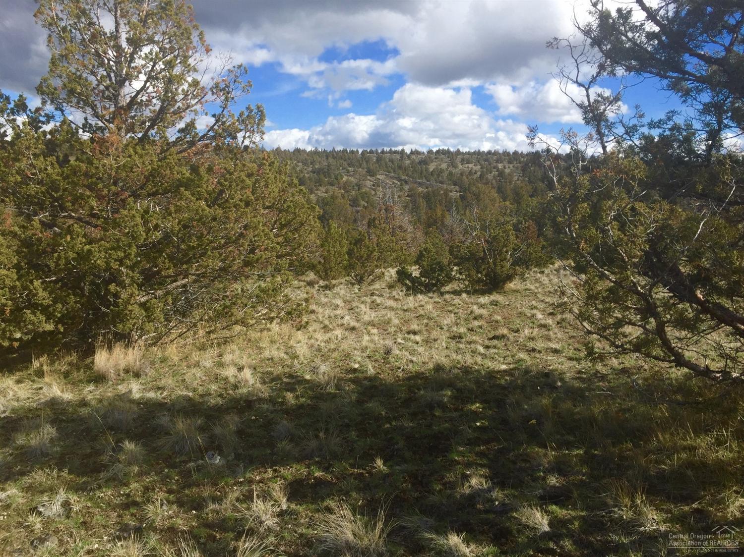 Longhorn Ridge - Land