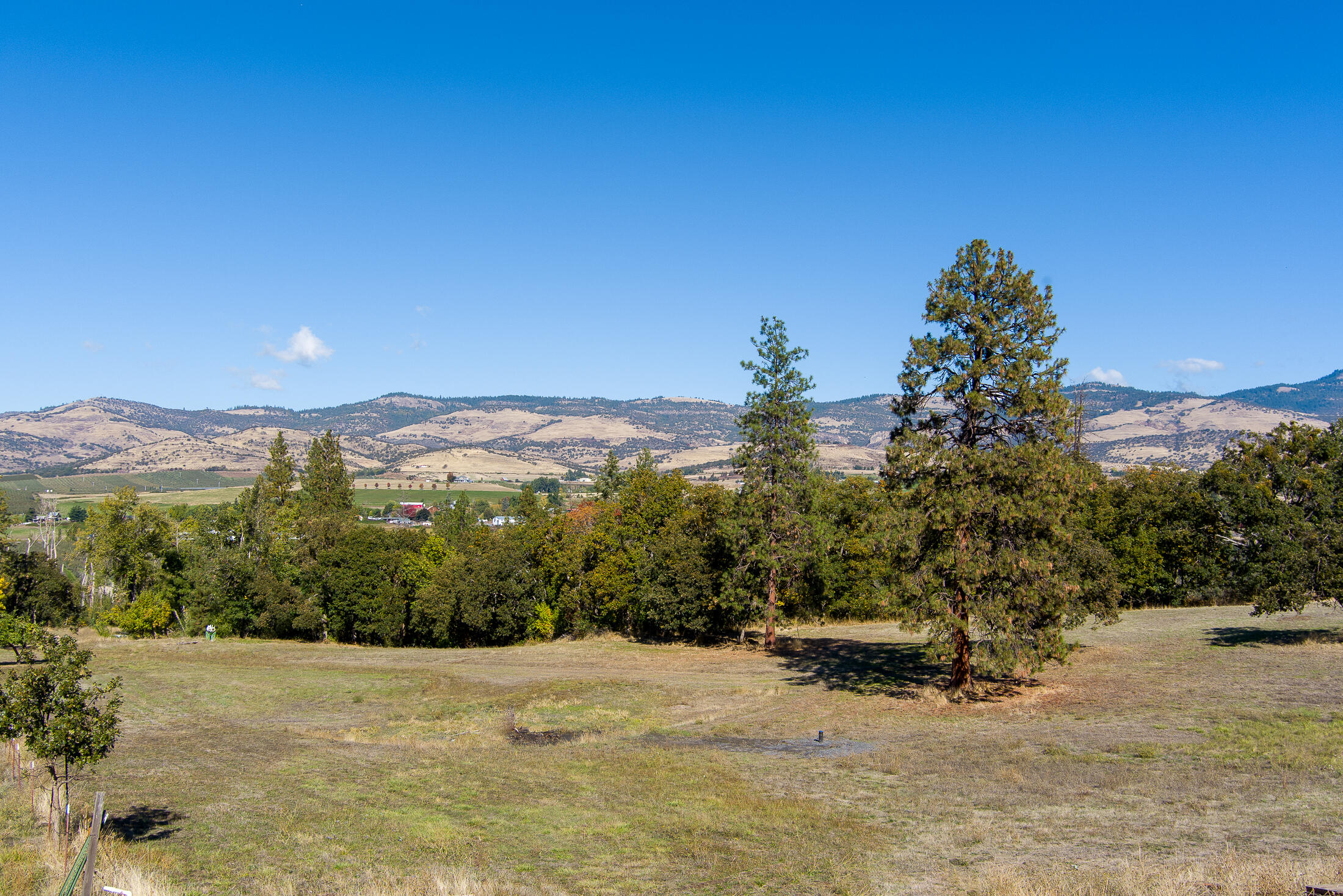 Discover the perfect blend of convenience and tranquility on this 2.43-acre parcel ideally located between Talent and Ashland. Zoned RR-5, this property offers the opportunity to build your dream home with excellent water sources, including a new 18 GPM well and water rights from TID. City sewer services are nearby and can be connected at minimal cost. Mature trees create a natural privacy buffer from the highway, while stunning mountain views enhance the peaceful setting. With 1.5 acres of irrigated, usable ground, this property is ideal for gardens, hobby farming, or landscaping. A rare find in a highly sought-after area of Southern Oregon!