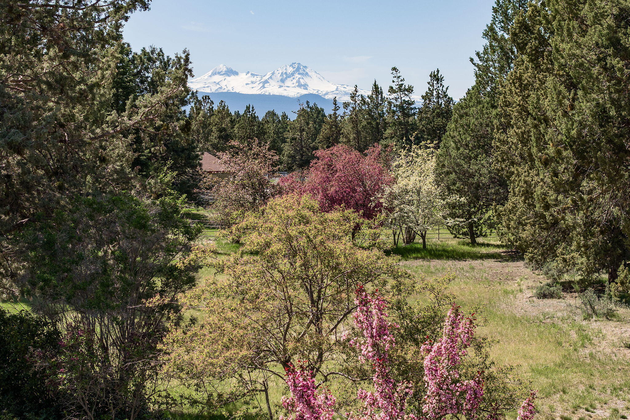 Hunnell Hills - Residential