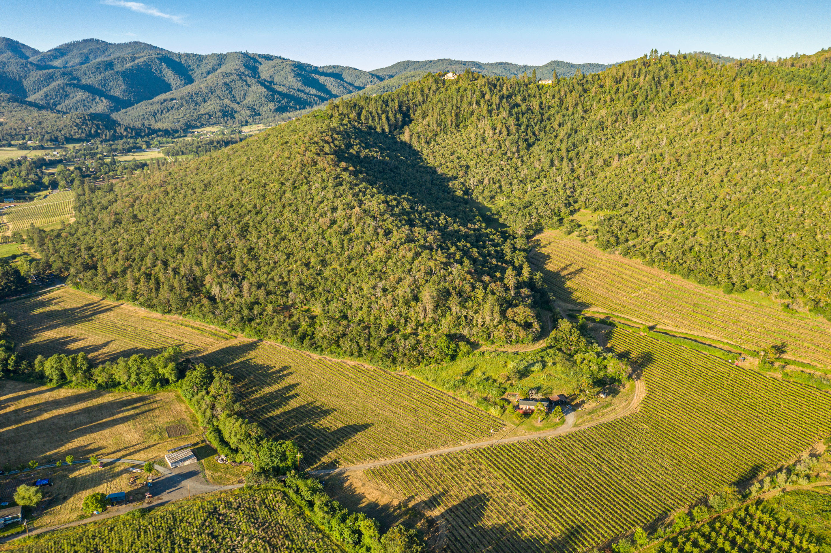 Welcome to Sundown Vineyard, a stunning rural lifestyle property located in SW Medford. Situated on 106-acres, this property has it all: water rights, recreational acreage for your outdoor enjoyment & a legal home with manufactured dwelling to live in while you build your estate home all while providing outstanding views with close proximity to town. The property benefits from 34.10 acres of water rights from TID & has 22.81 net acres of mixed varietal vineyard (15.78 net acres producing & the remainder being trellis). Producing blocks include Pinot Gris, Viognier, Cabernet Franc, Syrah, Petit Syrah, & Grenache. The property is one tax lot that is zoned EFU. The double-wide manufactured dwelling provides efficient living space & secures the legal home site, which has excellent privacy & views of Mt. McLoughlin & Lower & Upper Table Rocks. This property hasn't changed ownership in over three generations!