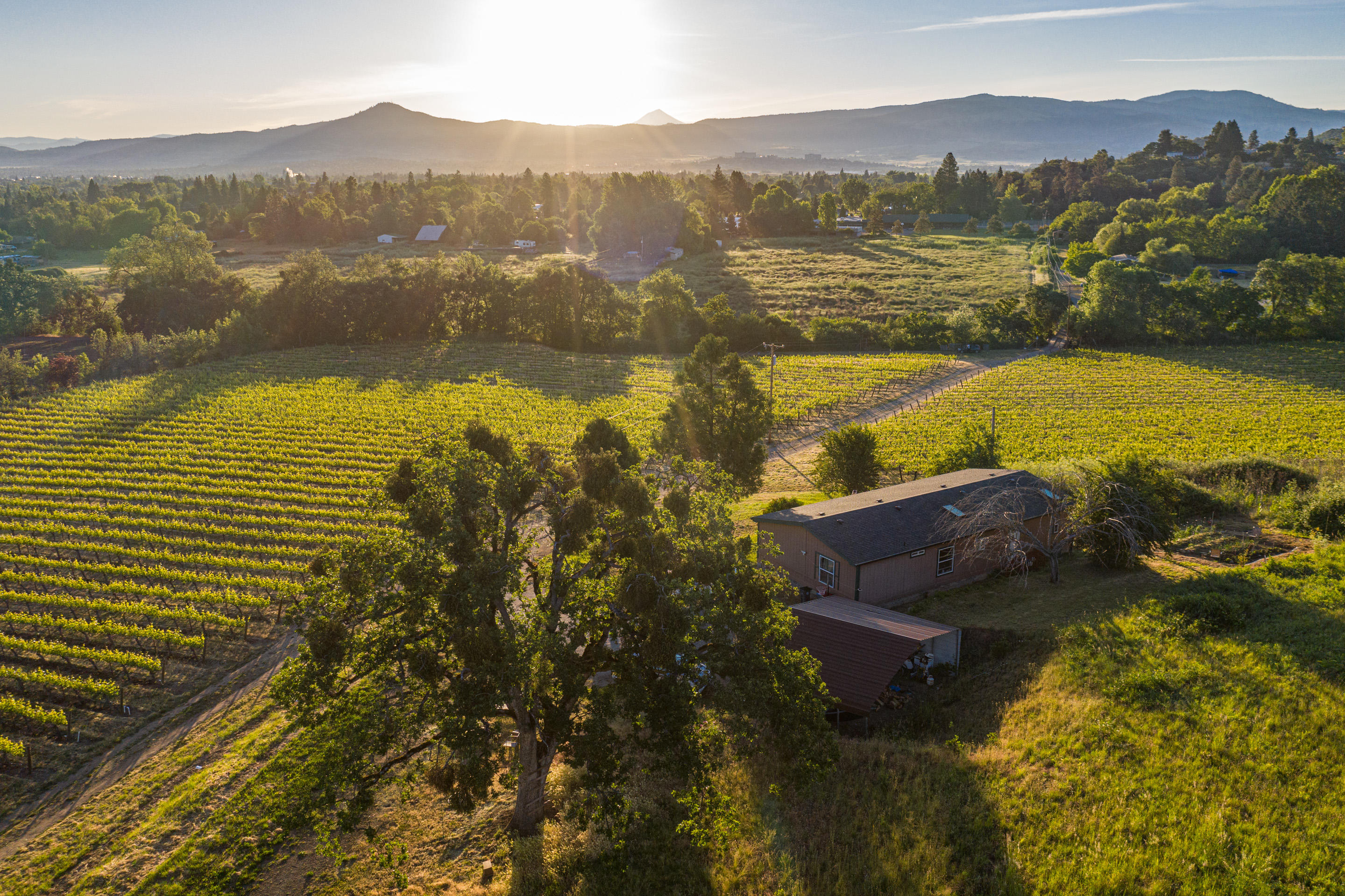 N/A - Farm