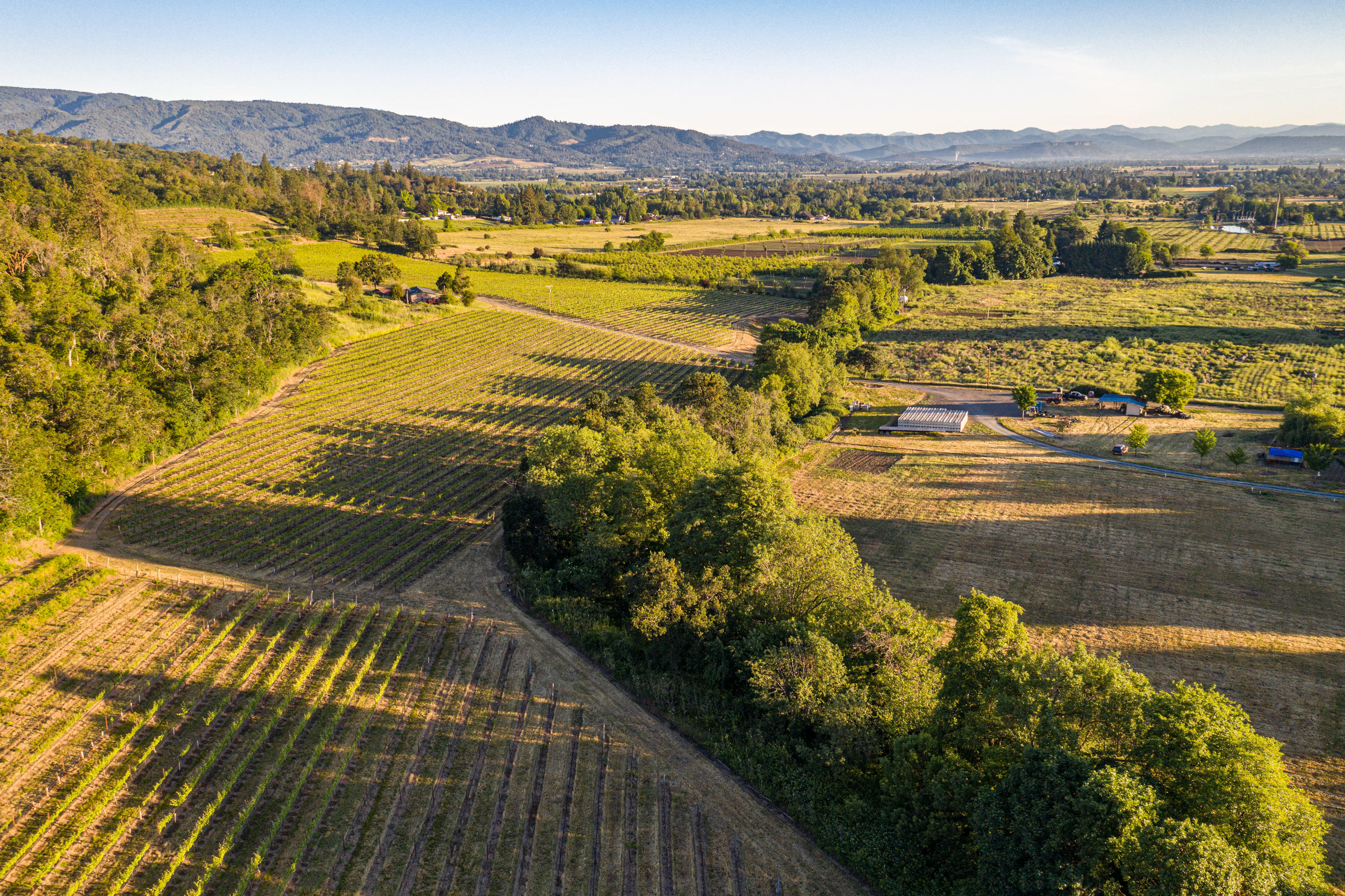 N/A - Farm
