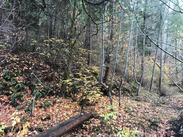 Ward's Creek Subdivision - Land