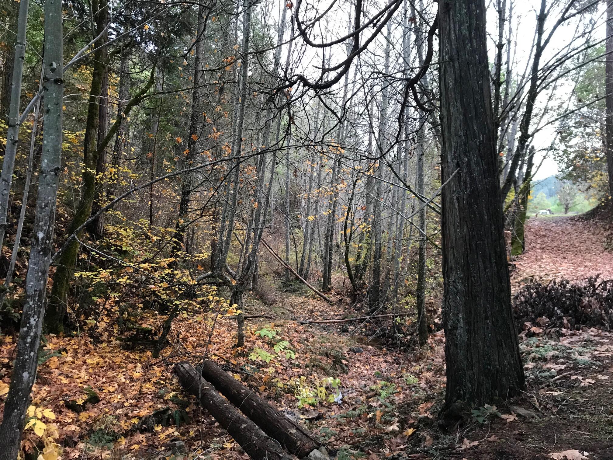 Ward's Creek Subdivision - Land