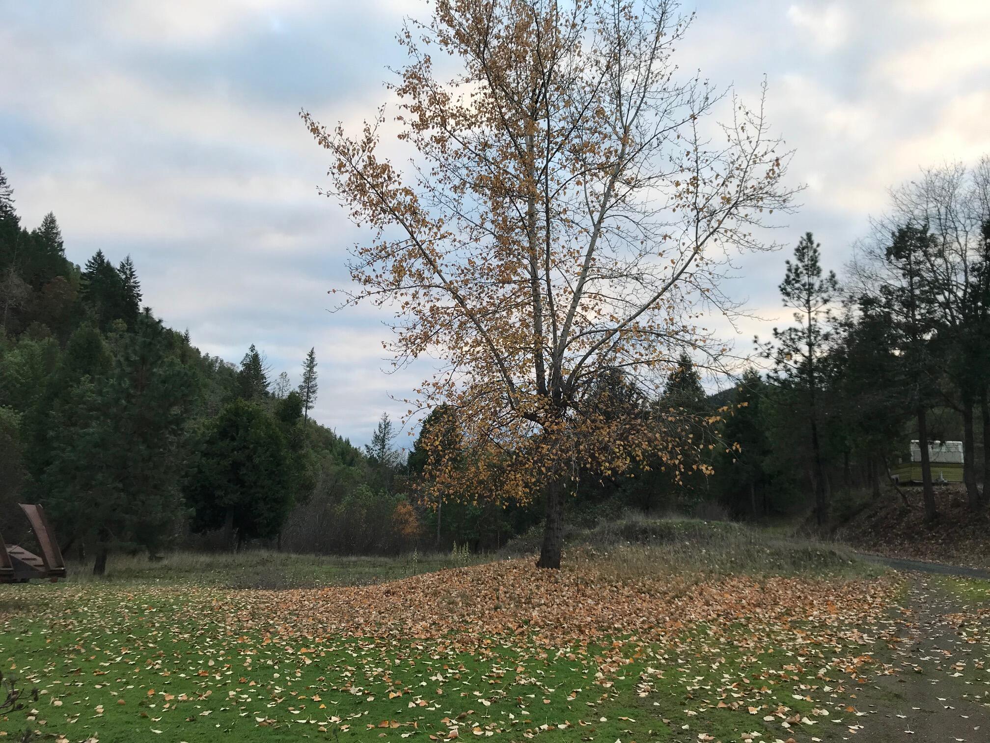 Ward's Creek Subdivision - Land