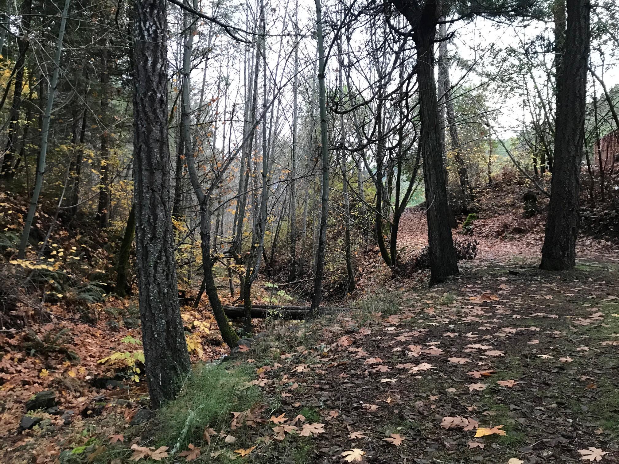 Ward's Creek Subdivision - Land