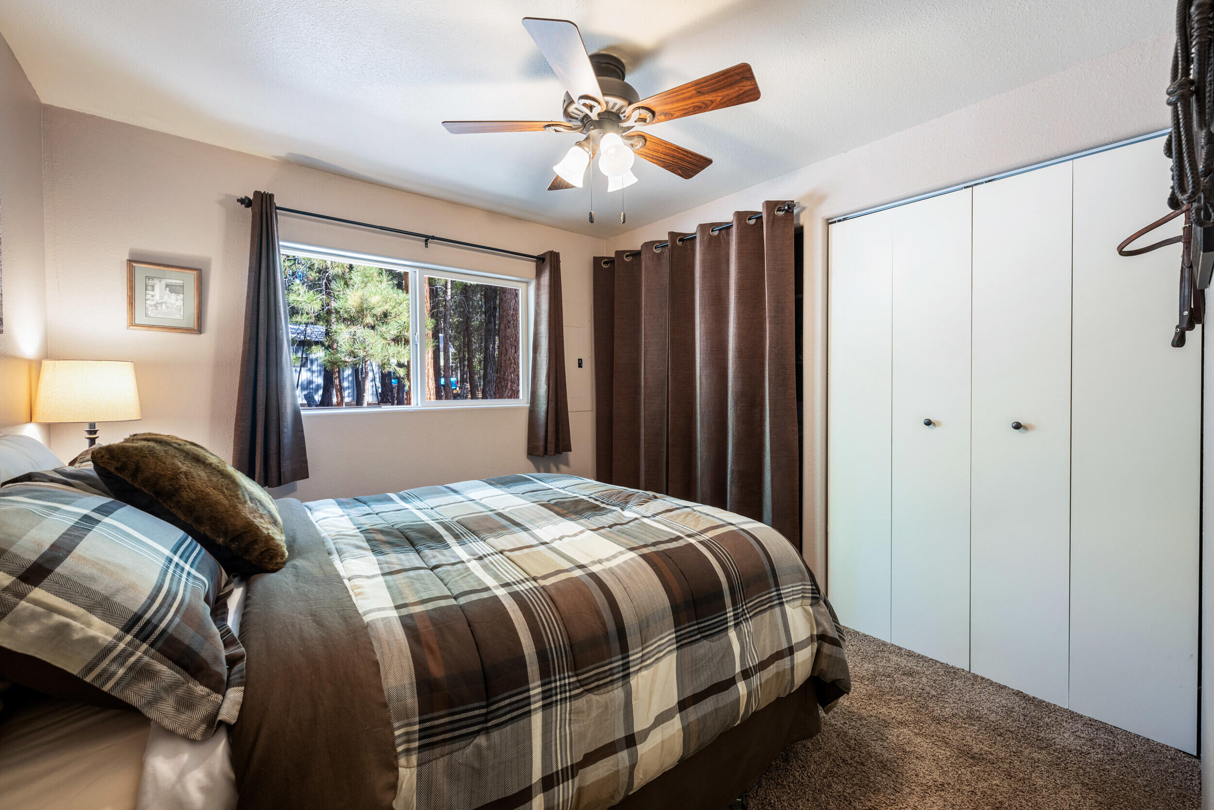 Ponderosa Pines - Residential