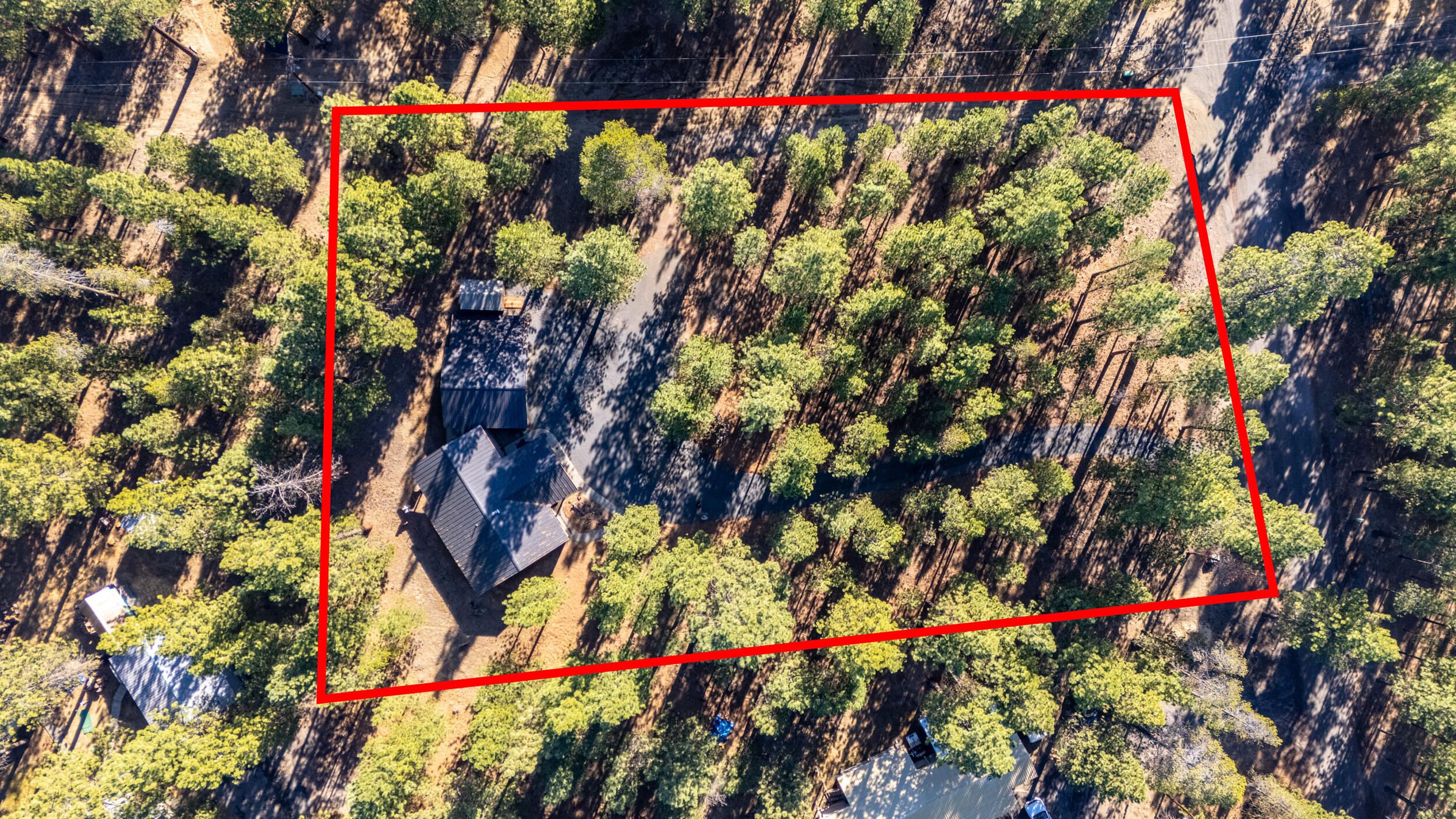 Ponderosa Pines - Residential