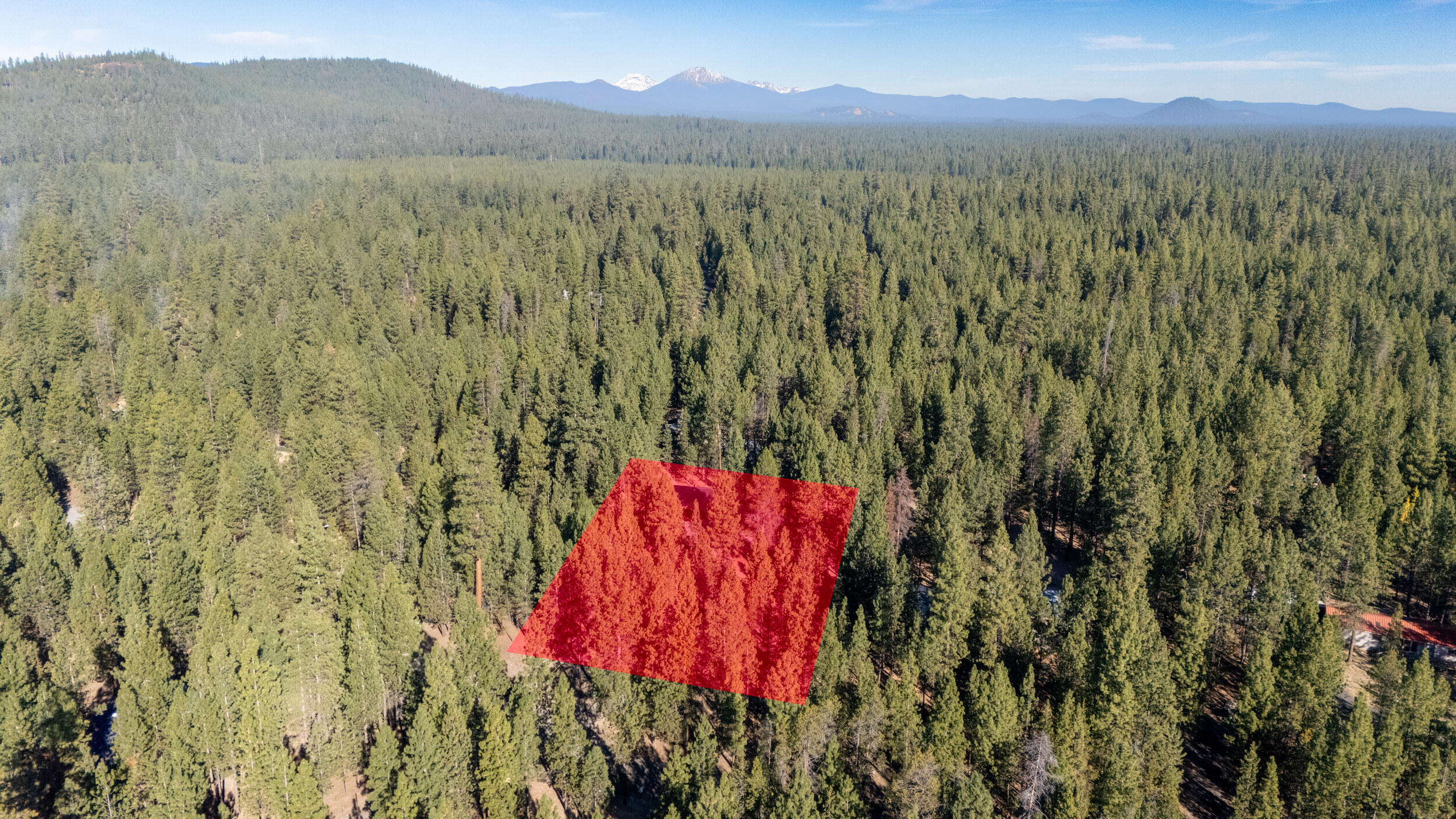Ponderosa Pines - Residential