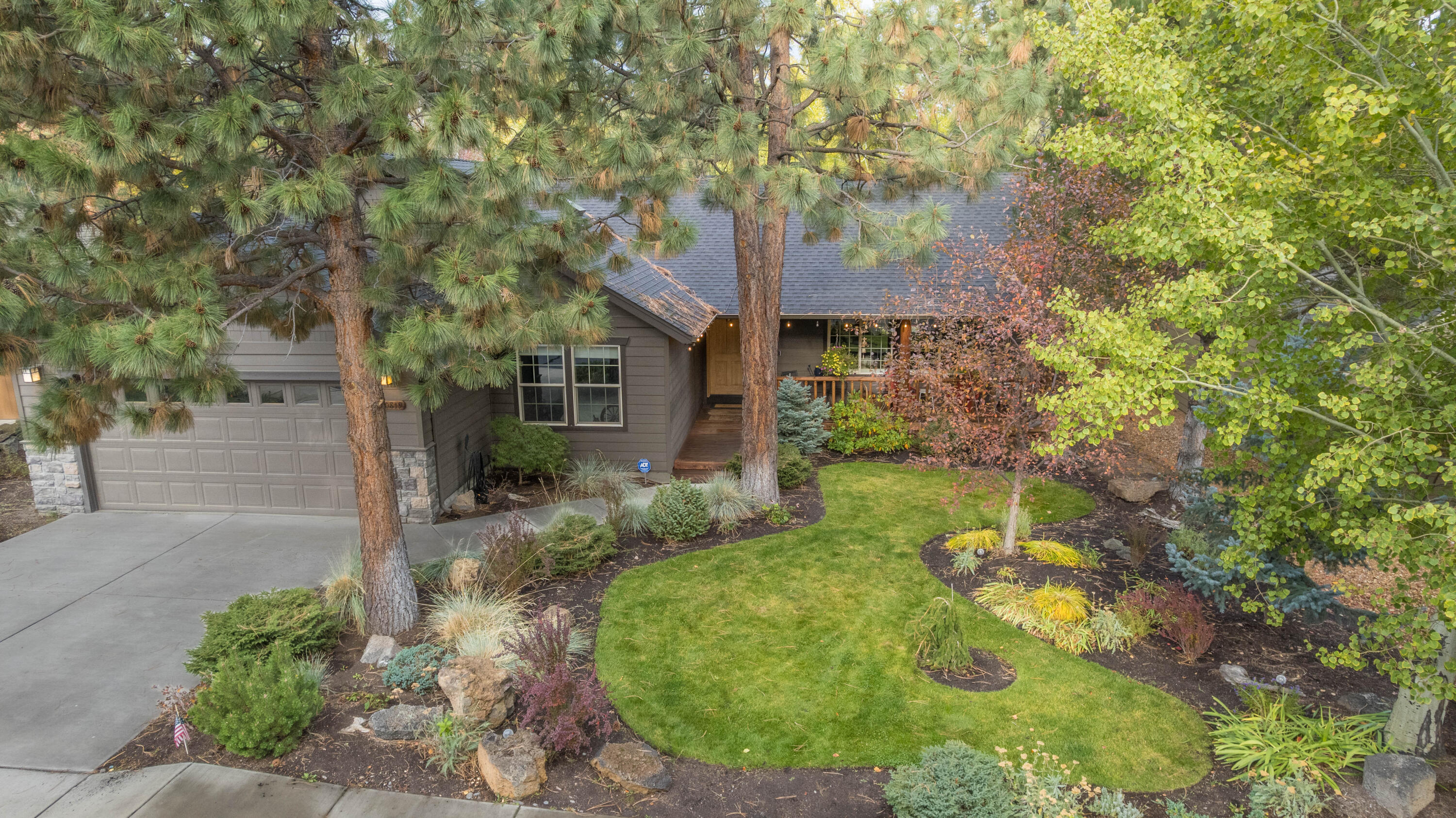 Mountain Pine - Residential